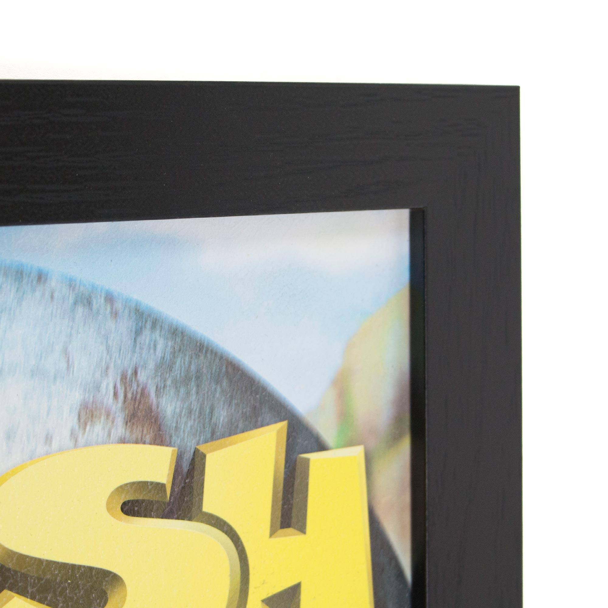 Crash Bandicoot Vintage Video Game Framed Wall Art