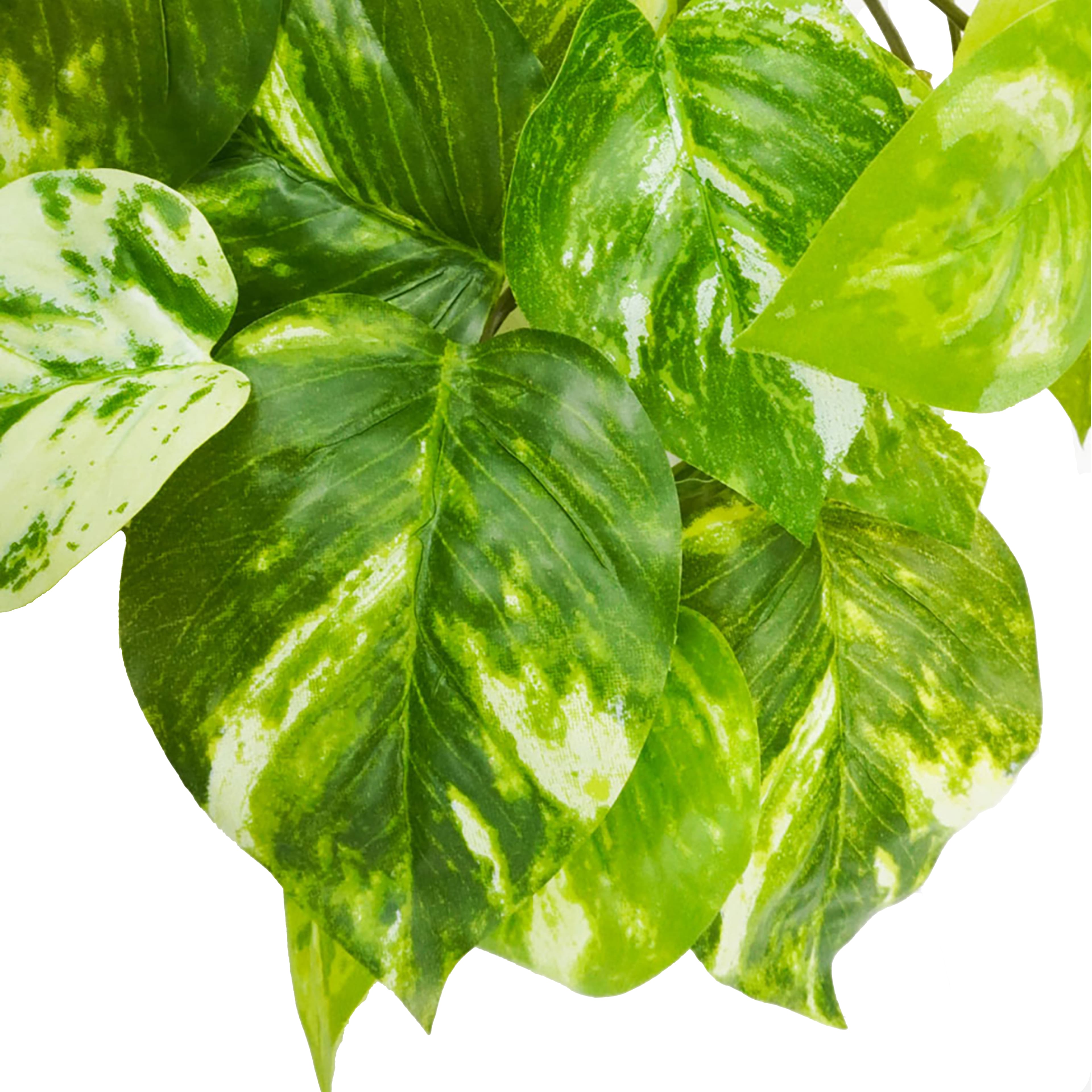 12 Pack: Green Marble Pothos Real Touch Hanging Bush by Ashland®