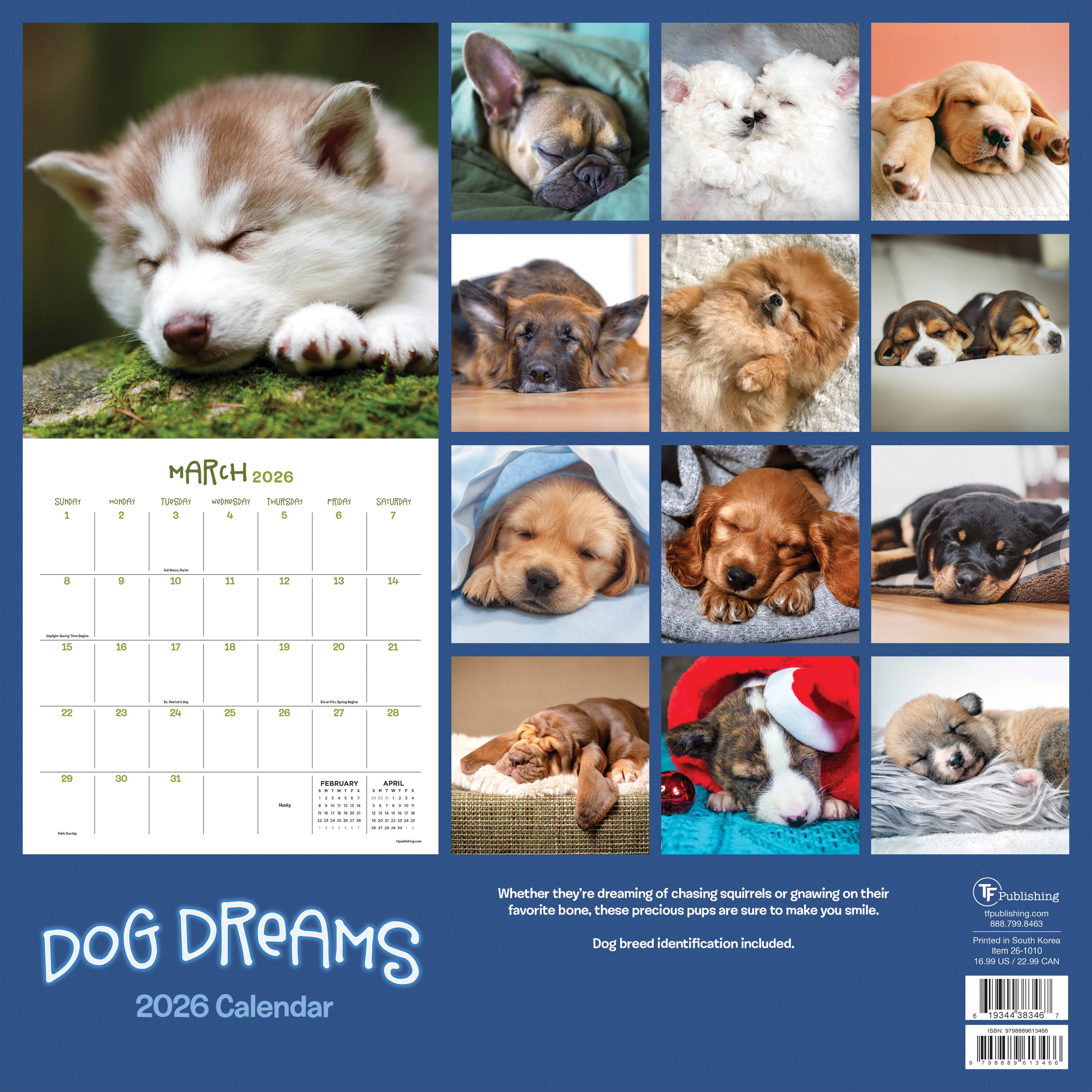 2026 Dog Dreams Wall Calendar