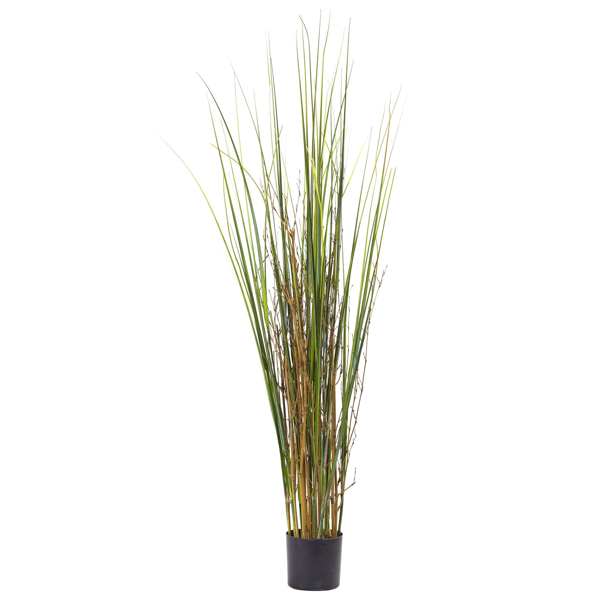 4ft. Potted Grass & Bamboo Plant