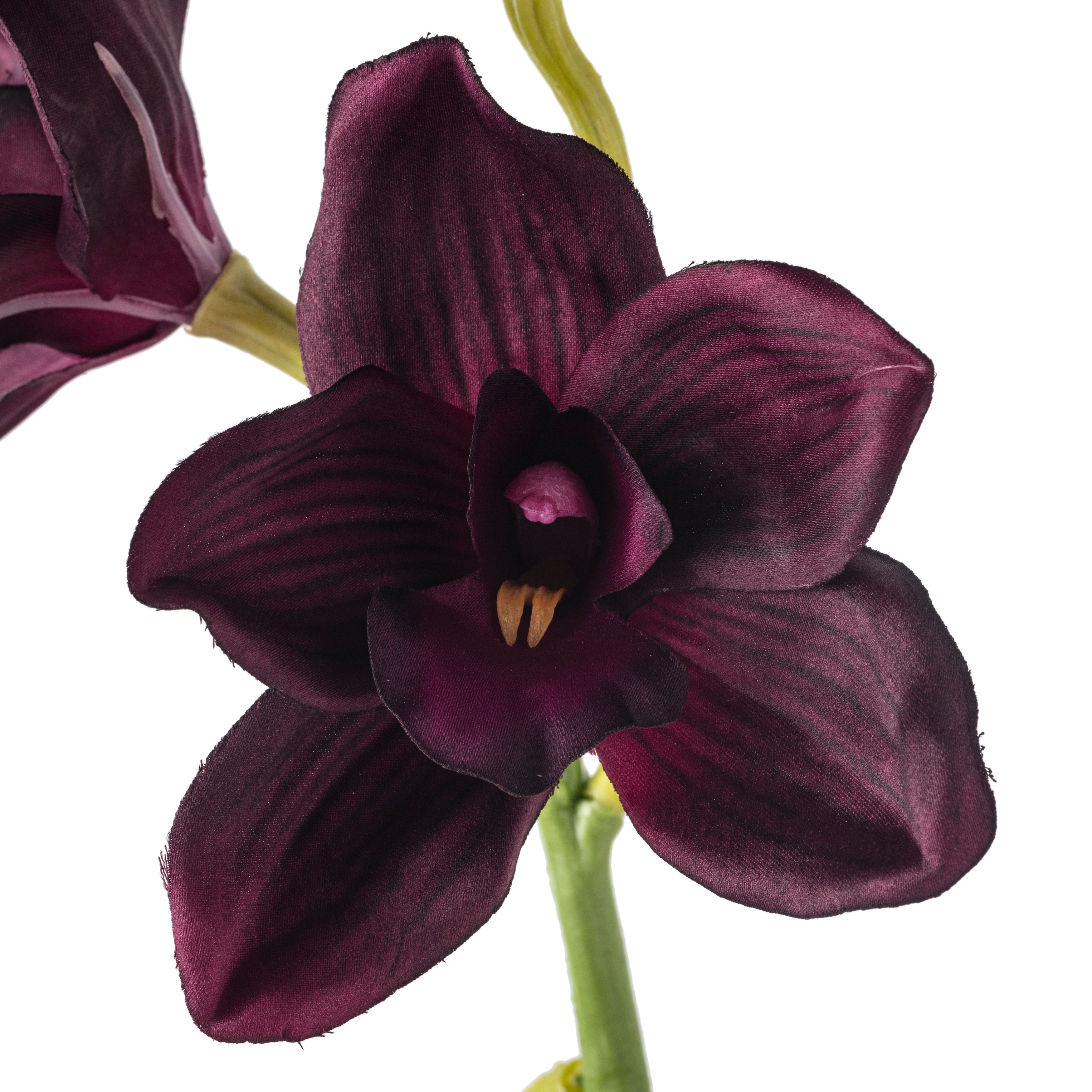 8 Pack: Plum Boat Orchid Spray by Ashland&#xAE;