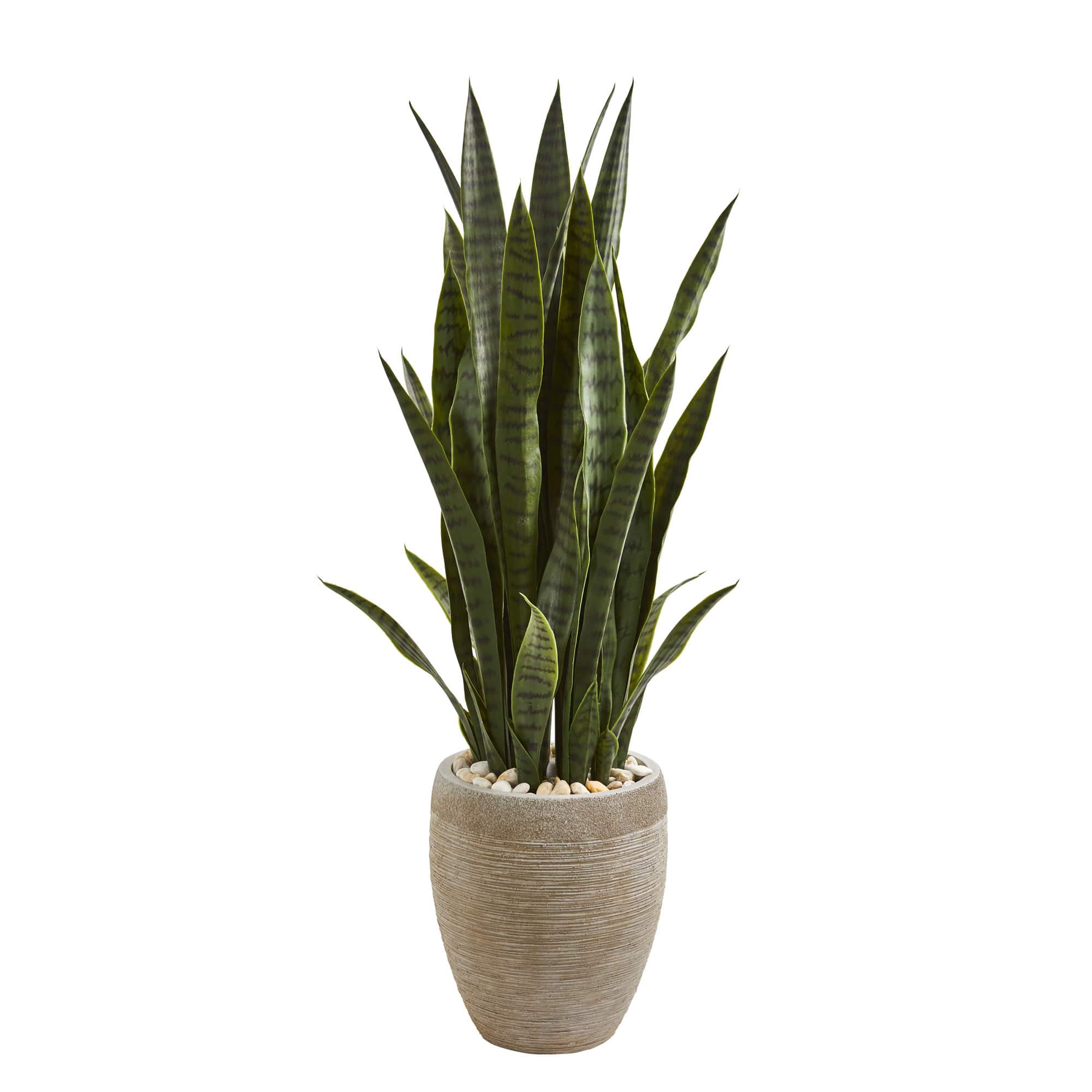 3.5ft. Snake Plant in Sand Colored Planter