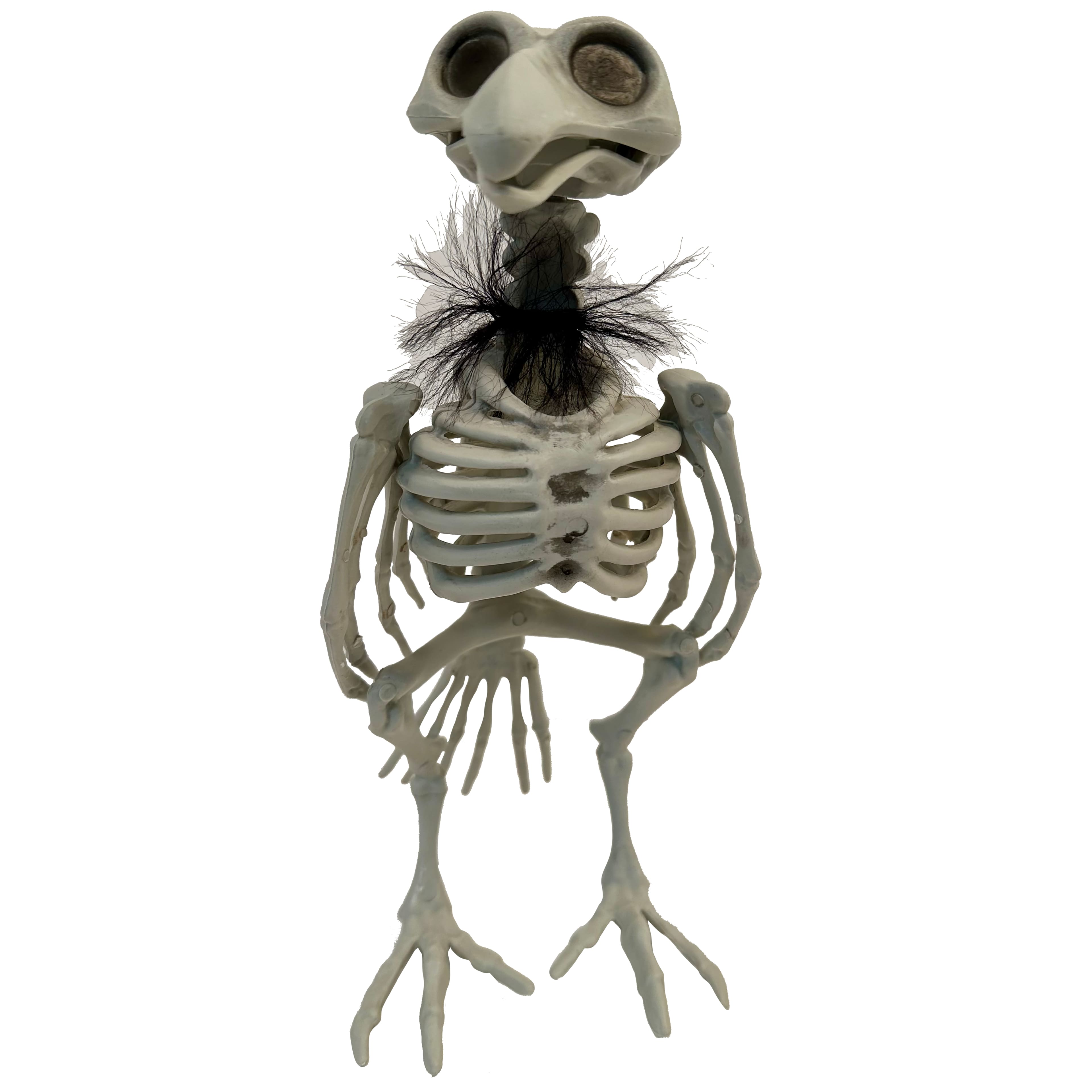 11.5&#x22; Crow Skeleton with Feathers by Ashland&#xAE;