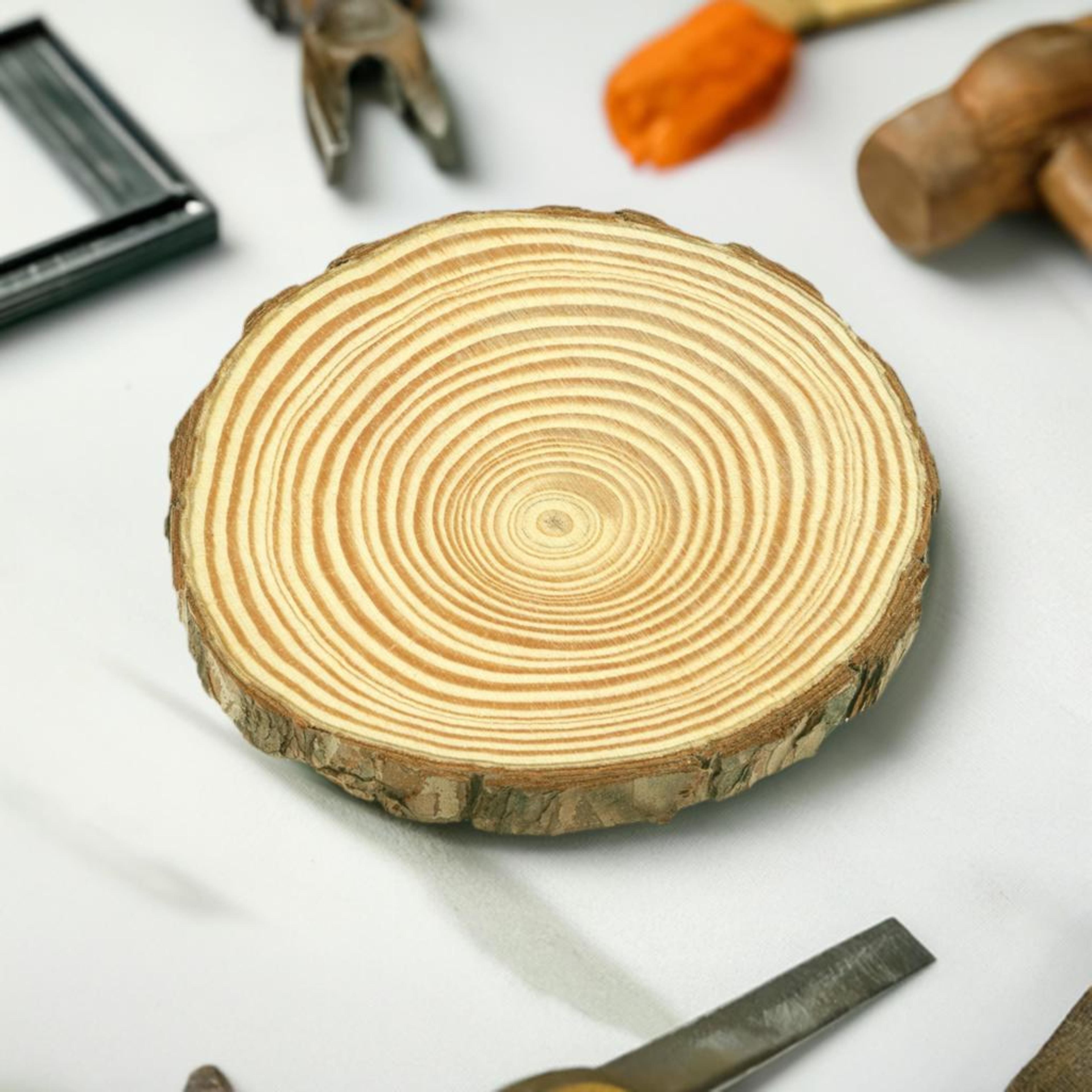 3.875&#x22; Pinewood Slices, 4ct. by Make Market&#xAE;