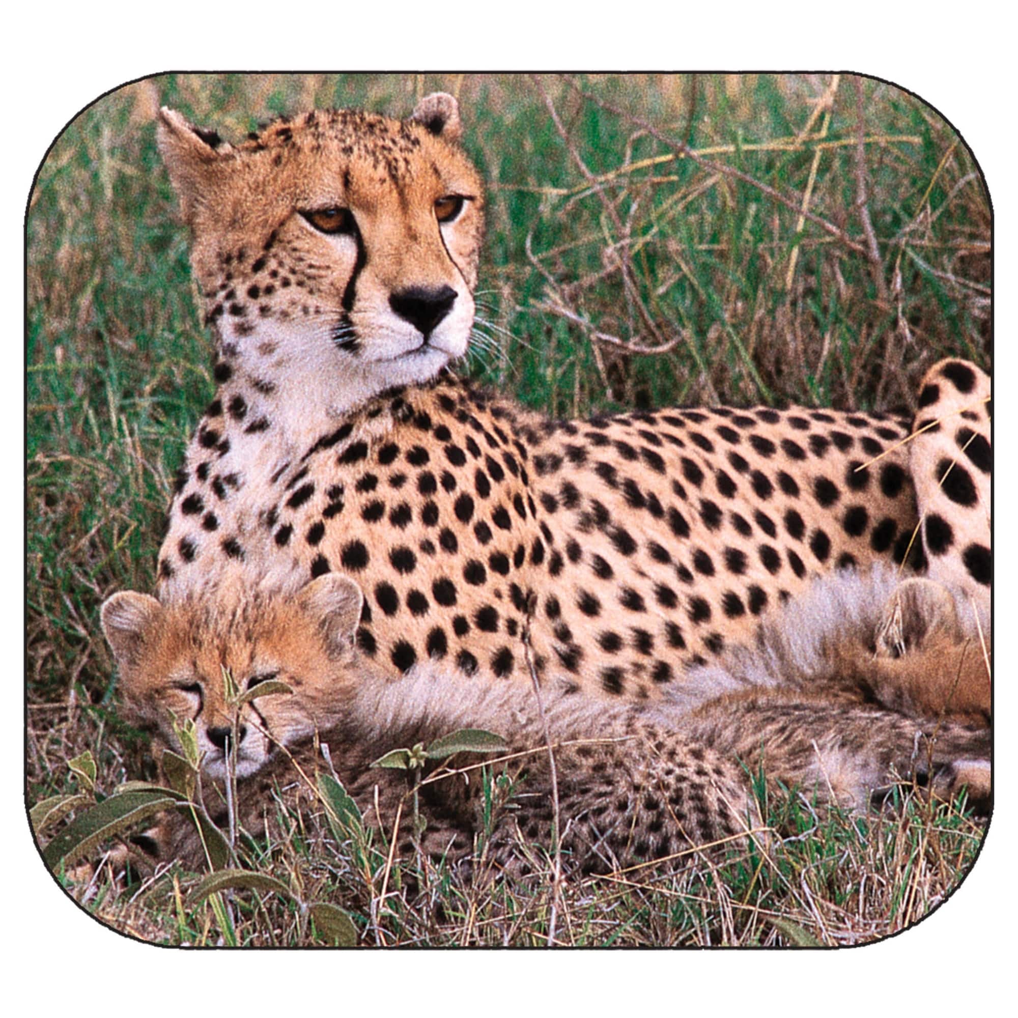 Schylling View-Master® Discovery Kids™ Boxed Set