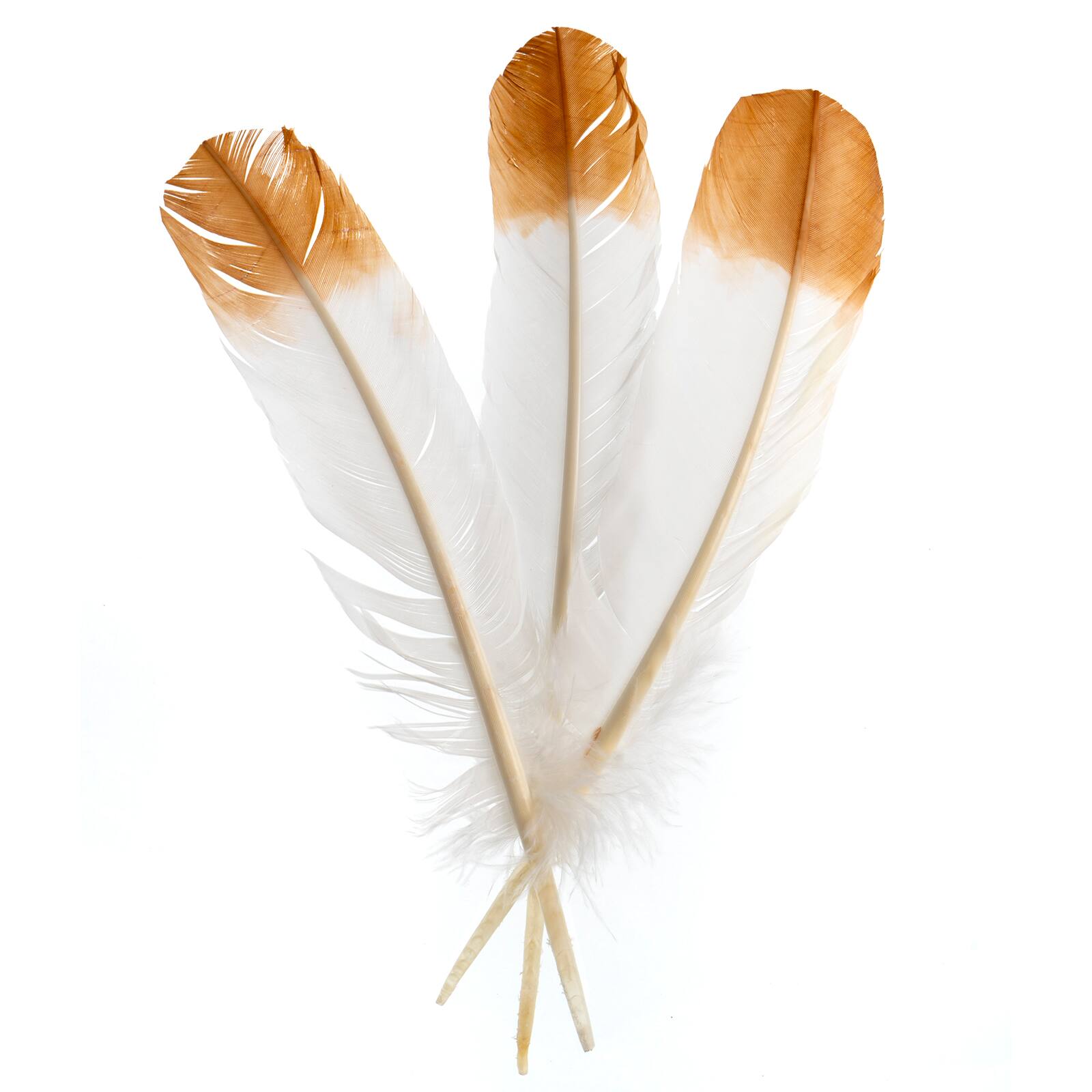 John Bead 12" White & Brown Imitation Eagle Feathers, 18ct.