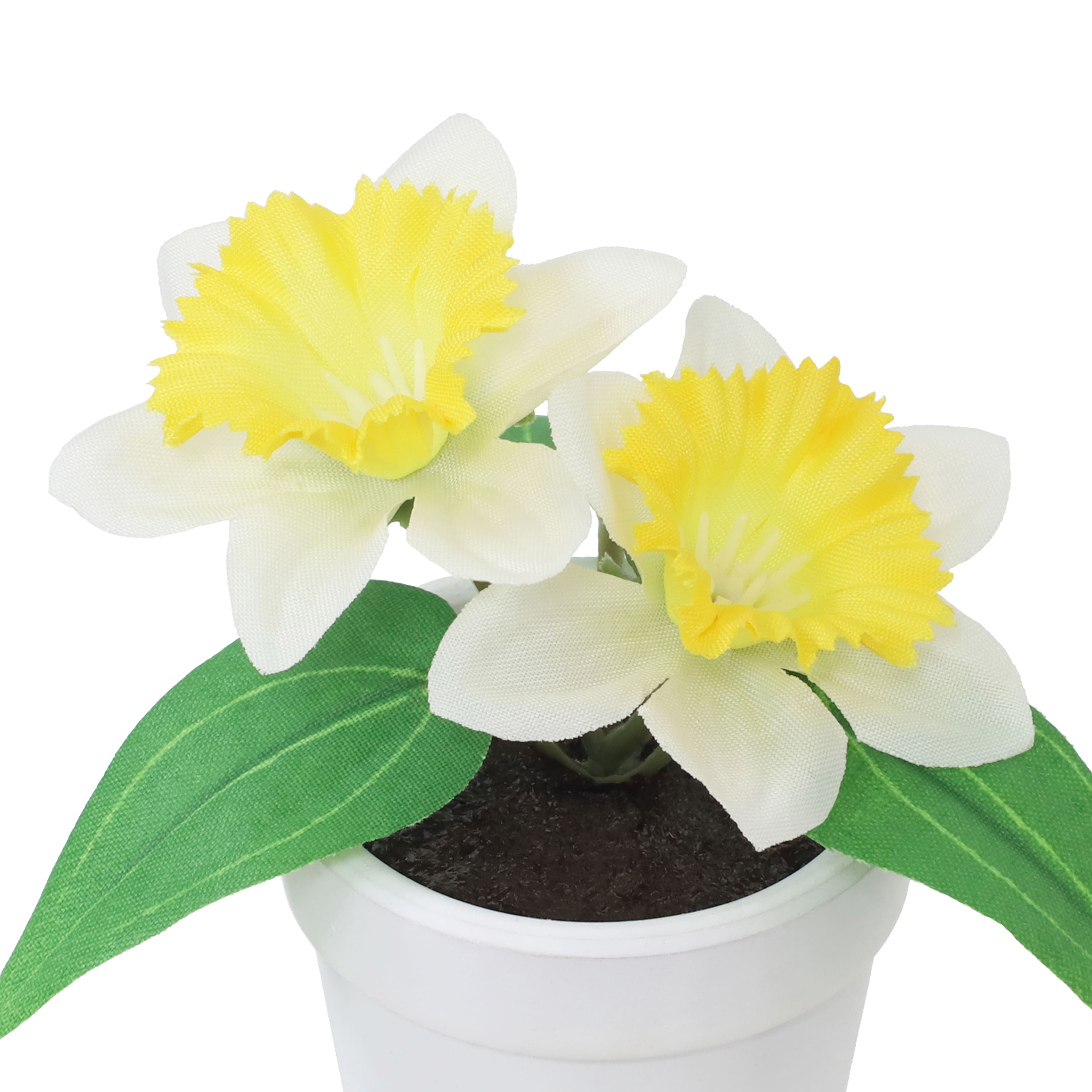 Assorted Micro Premade Flower by Ashland&#xAE;