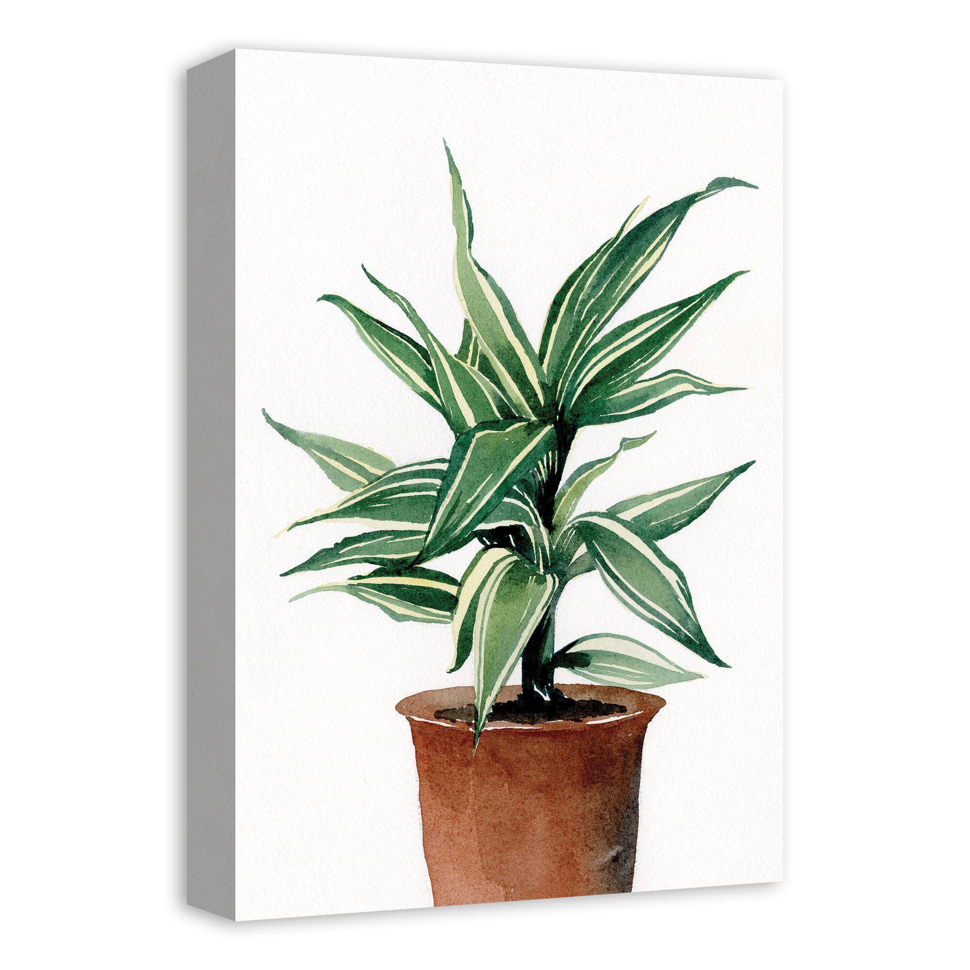 Leafy Green Potted Plant 11" x 14" Canvas Wall Art