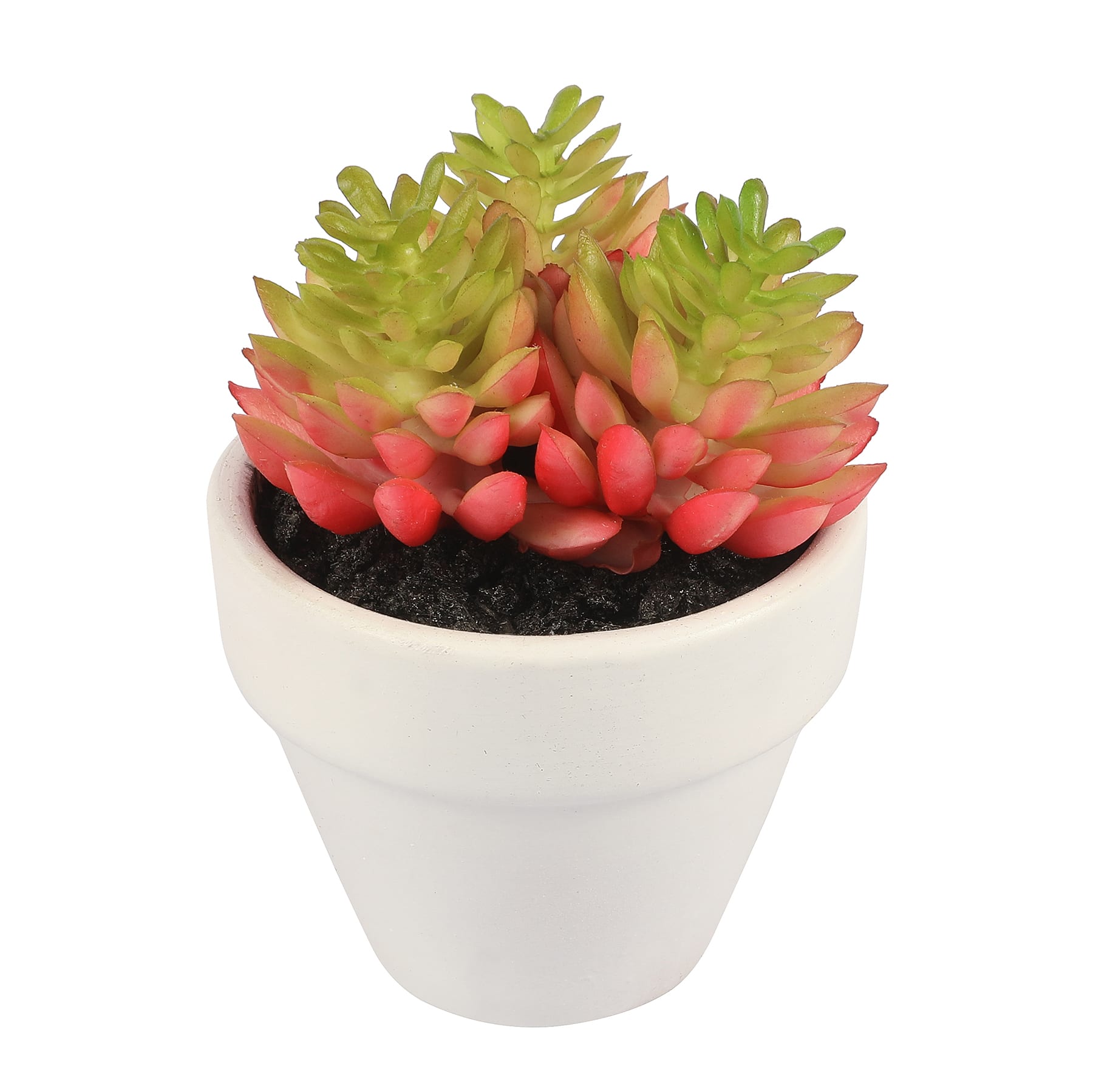 3.5&#x22; Potted Pink Succulent by Ashland&#xAE;