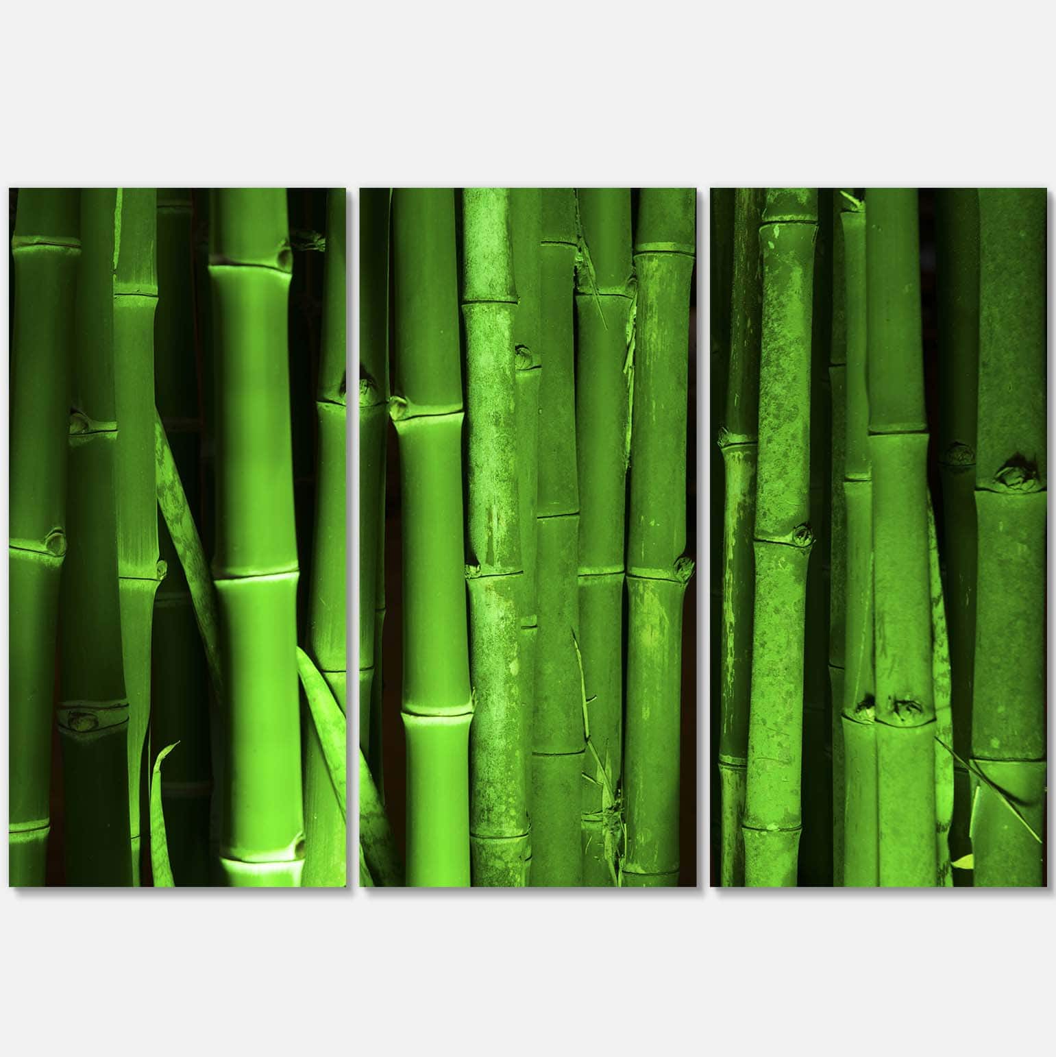 Designart - Green Bamboo Forest - Floral Canvas Art Print