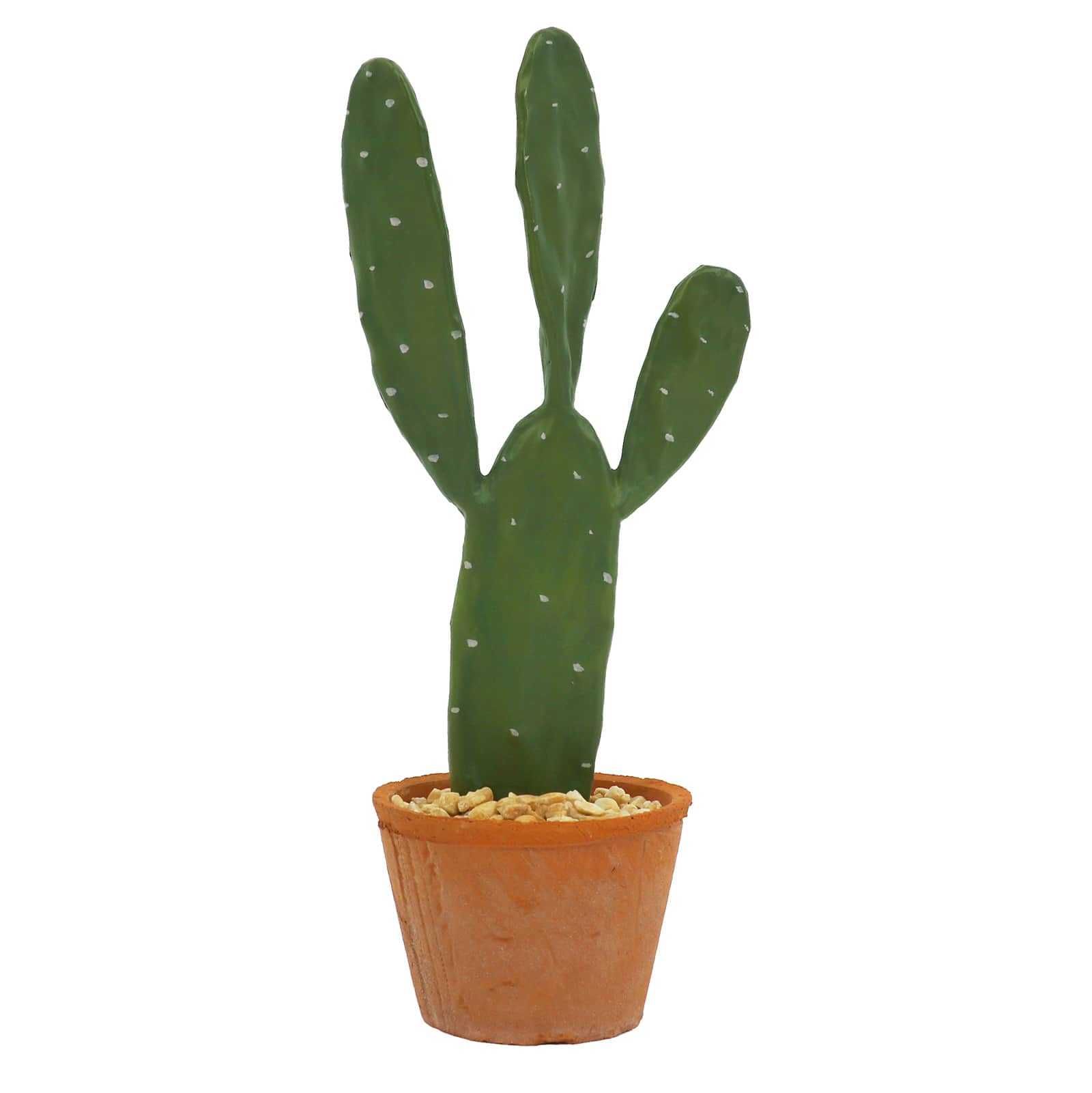 16&#x22; Potted Cactus Tabletop D&#xE9;cor by Ashland&#xAE;