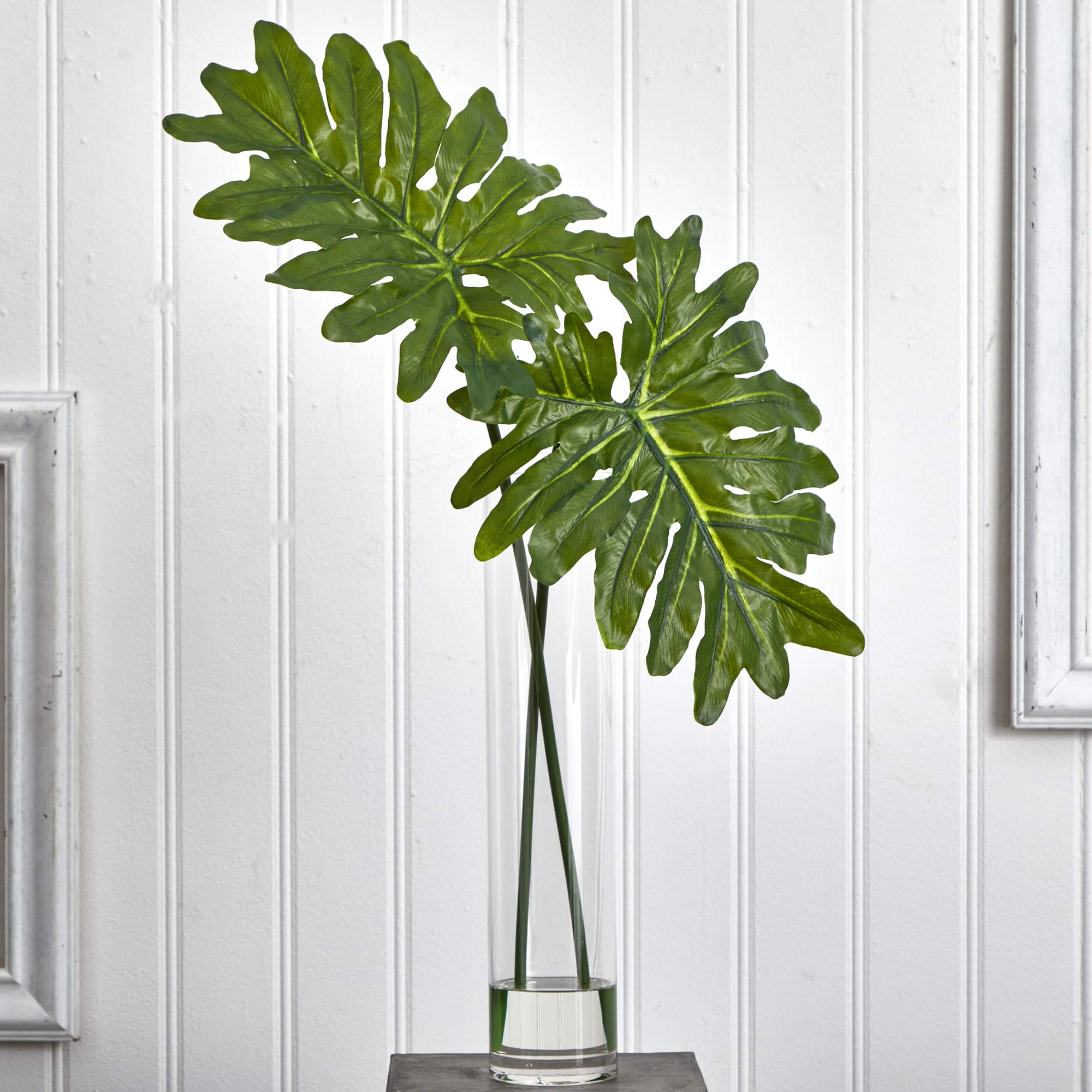 2.5ft. Philodendron Leaves in Cylinder Glass Vase