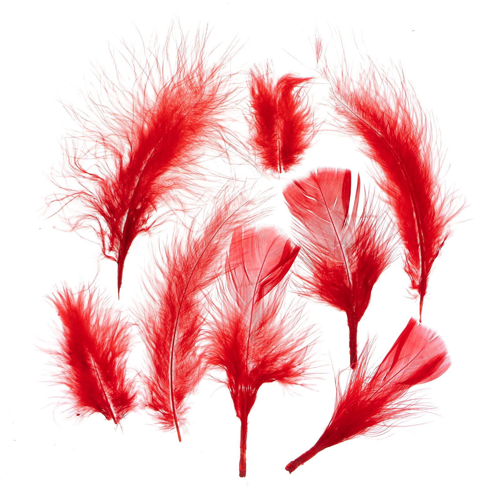 John Bead 4&#x22;-6&#x22; Marabou Feathers