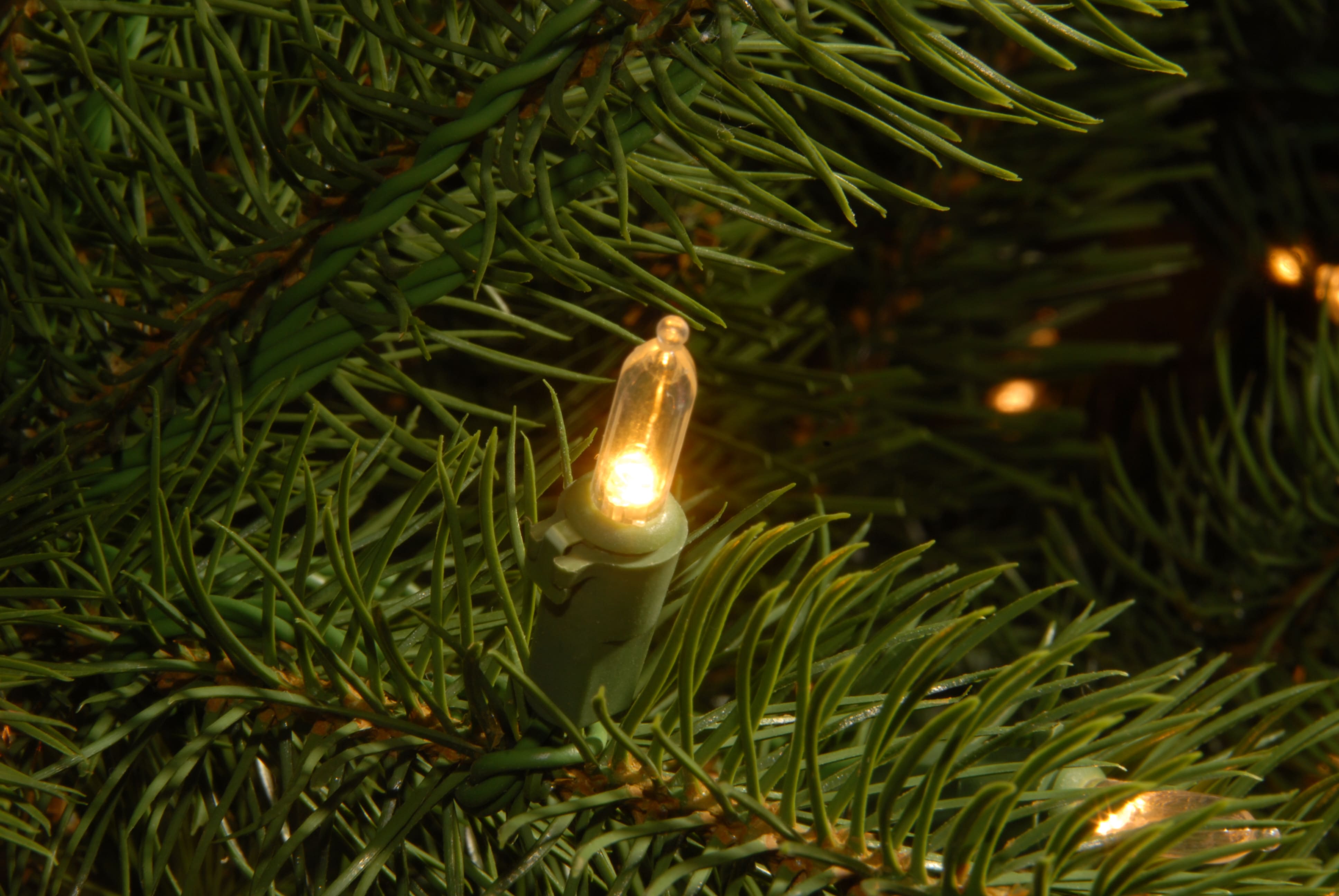 10ft. Pre-Lit Downswept Douglas&#xAE; Fir Tree, Dual Color LED Lights
