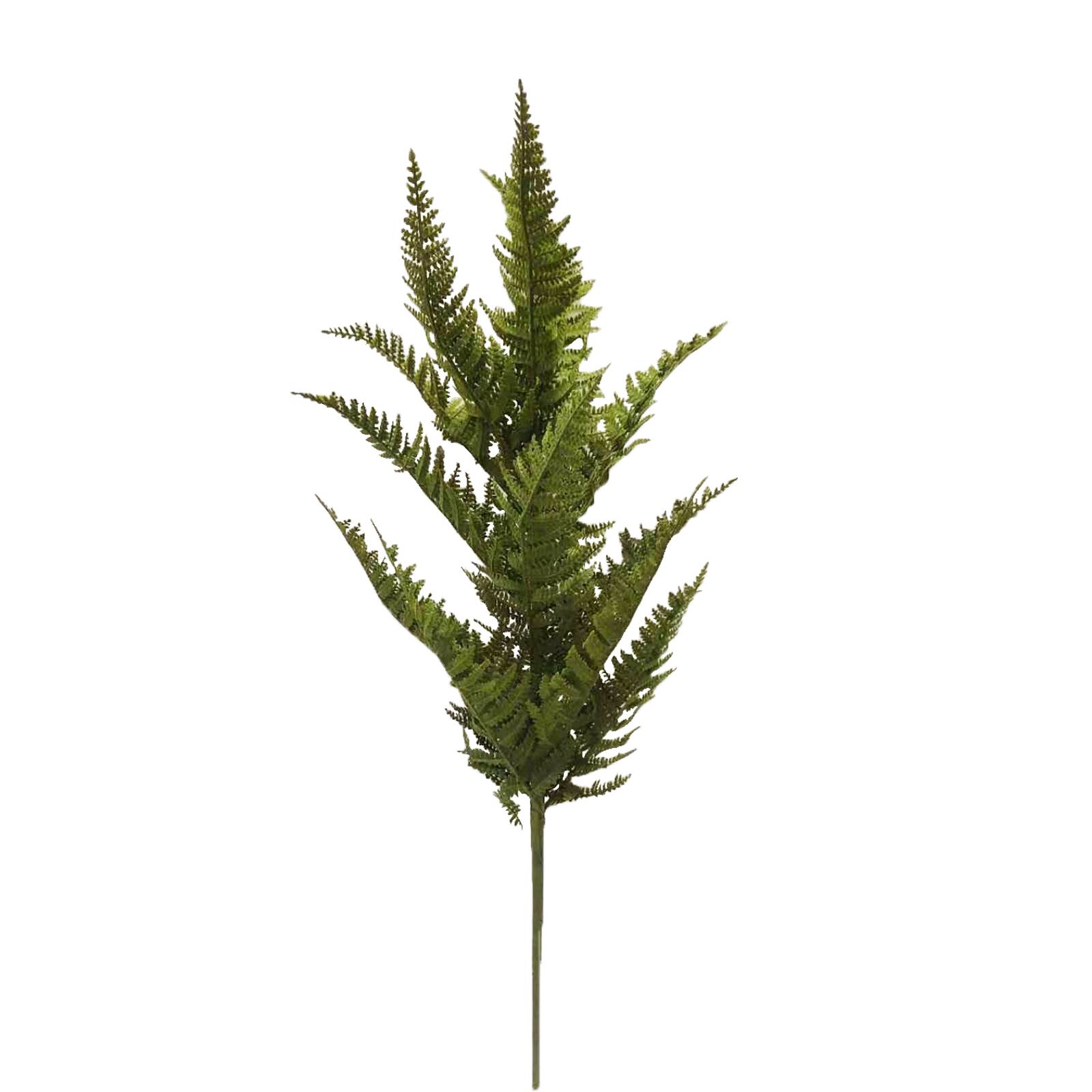 Green Moss Fern Stem by Ashland&#xAE;