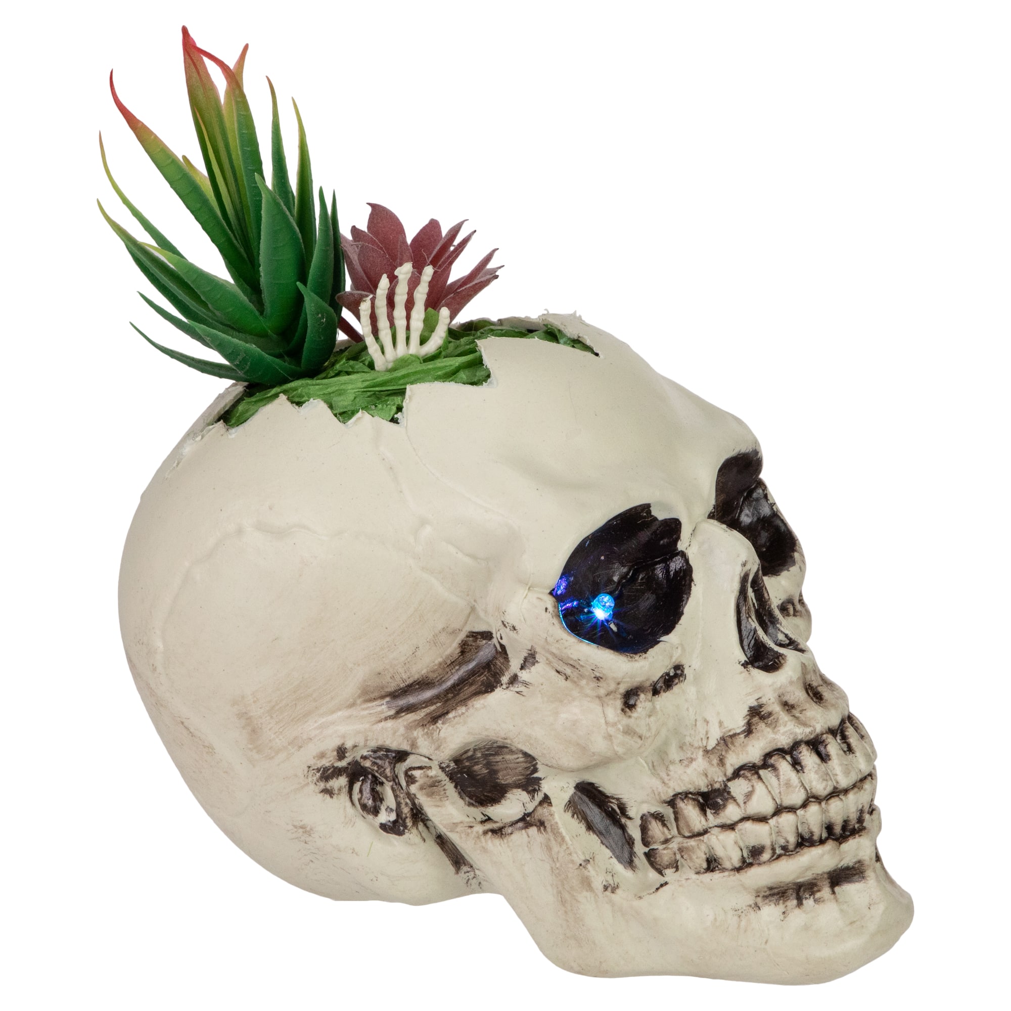 9&#x22; LED Lighted Succulent Halloween Skull Planter