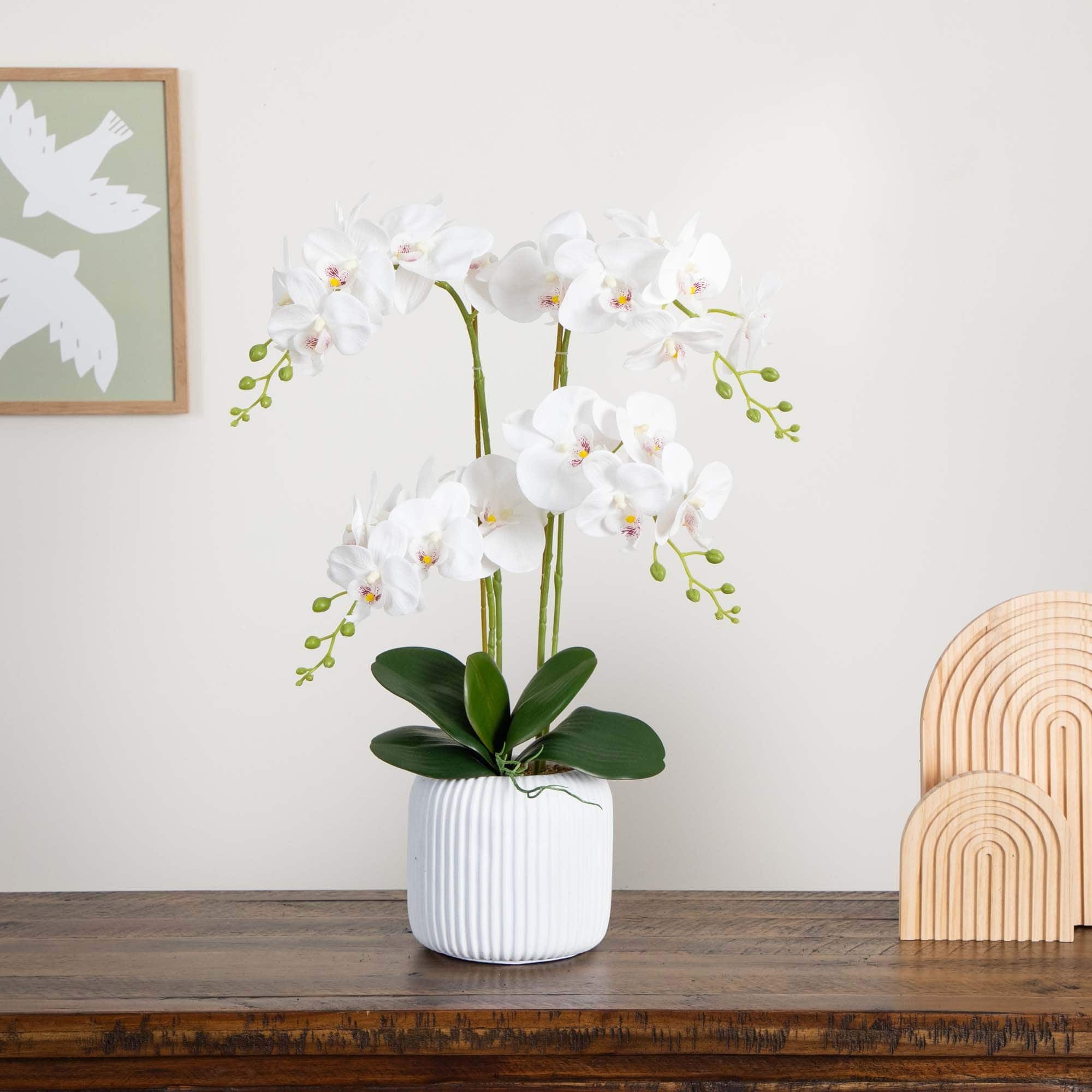 2ft. Orchid Arrangement in Decorative Ceramic Vase