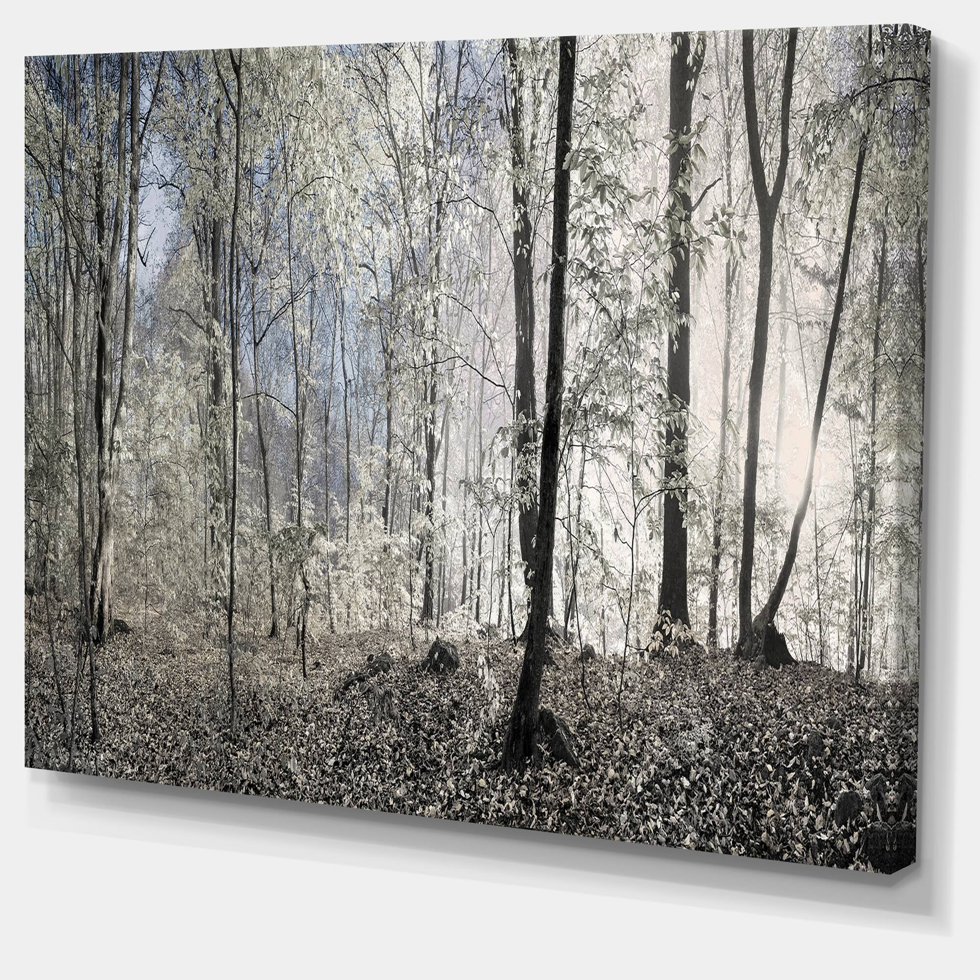 Designart - Dark Morning in Forest Panorama - Landscape Canvas Art Print
