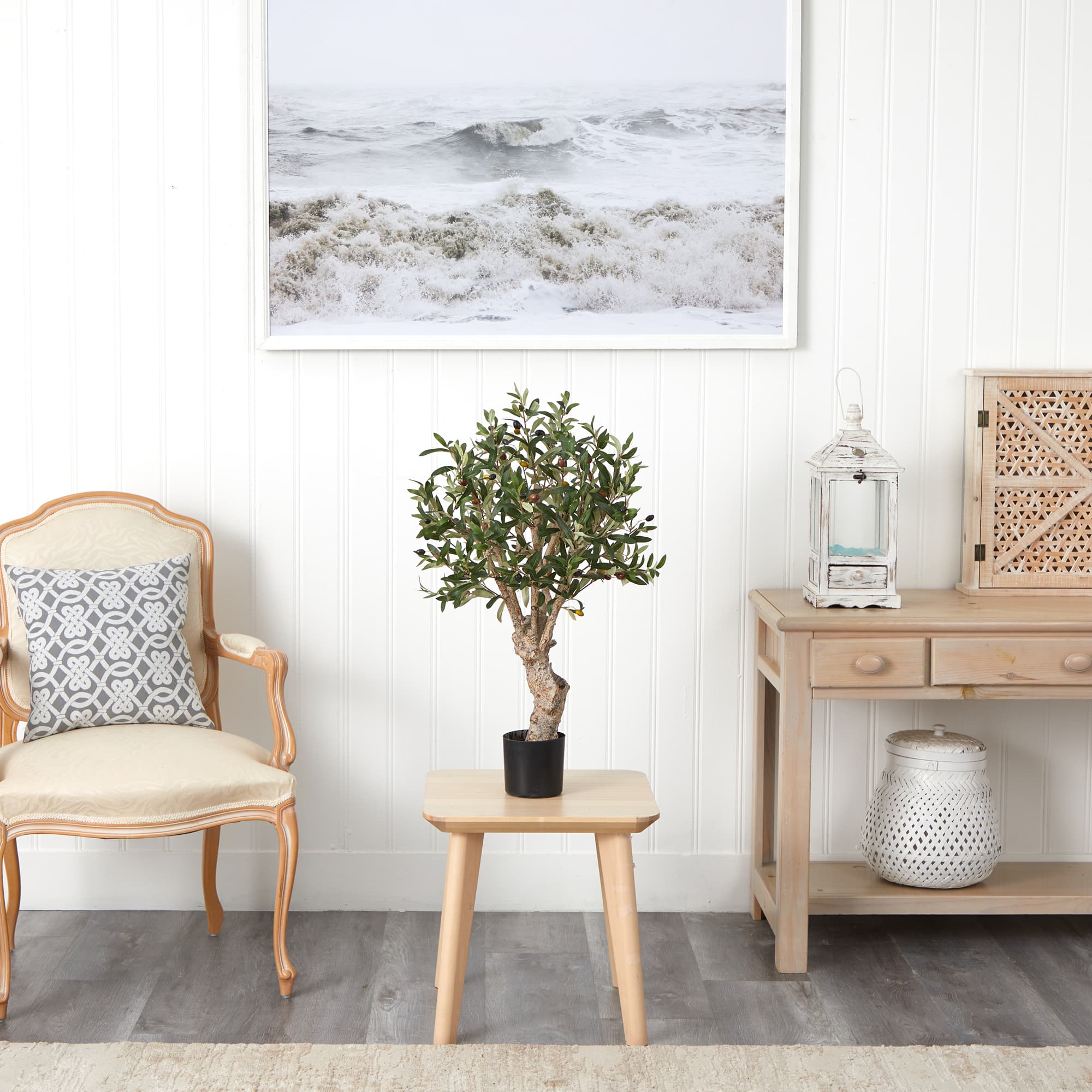 2.5ft. Potted Olive Tree