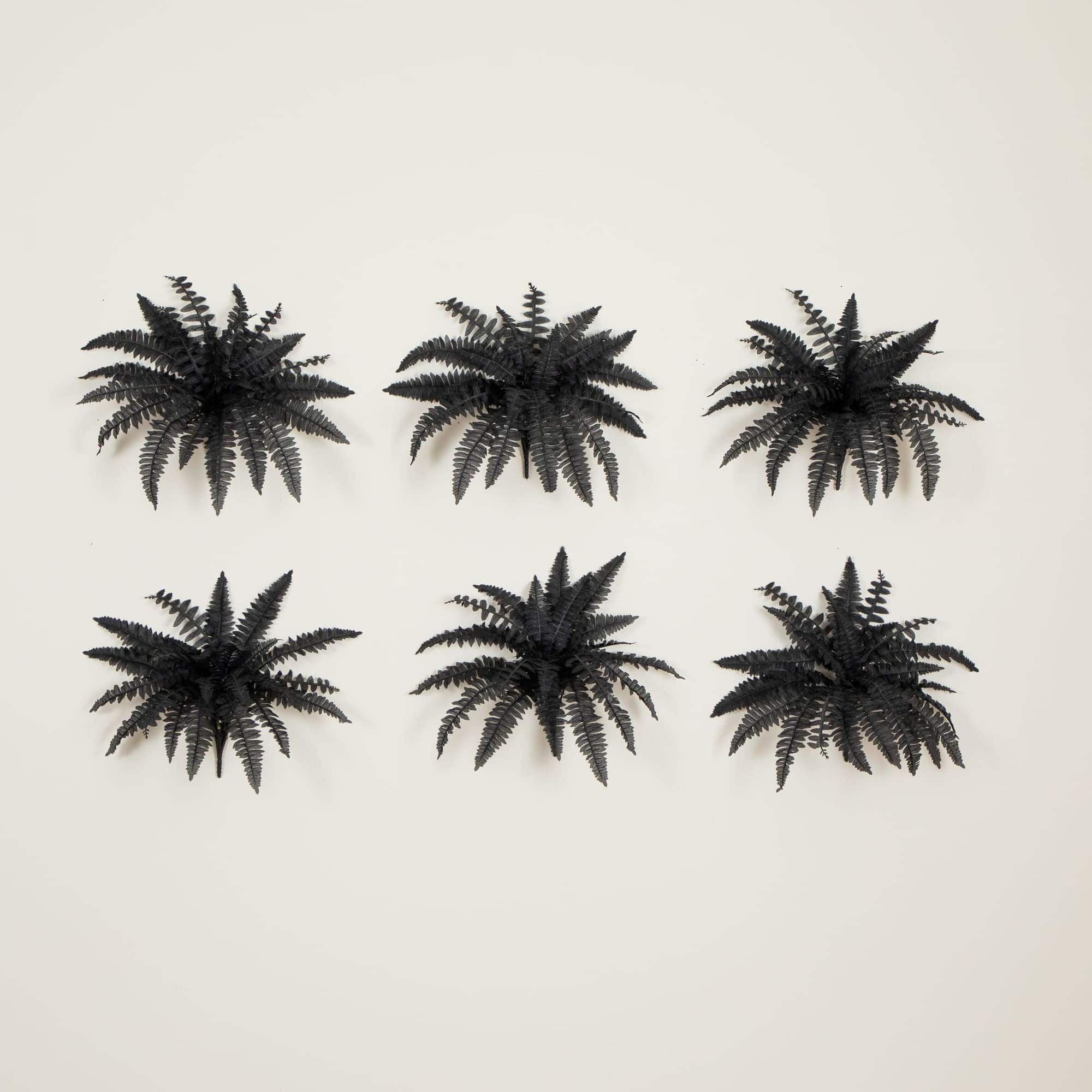 19in. Artificial Halloween Black Boston Fern - Set of 6