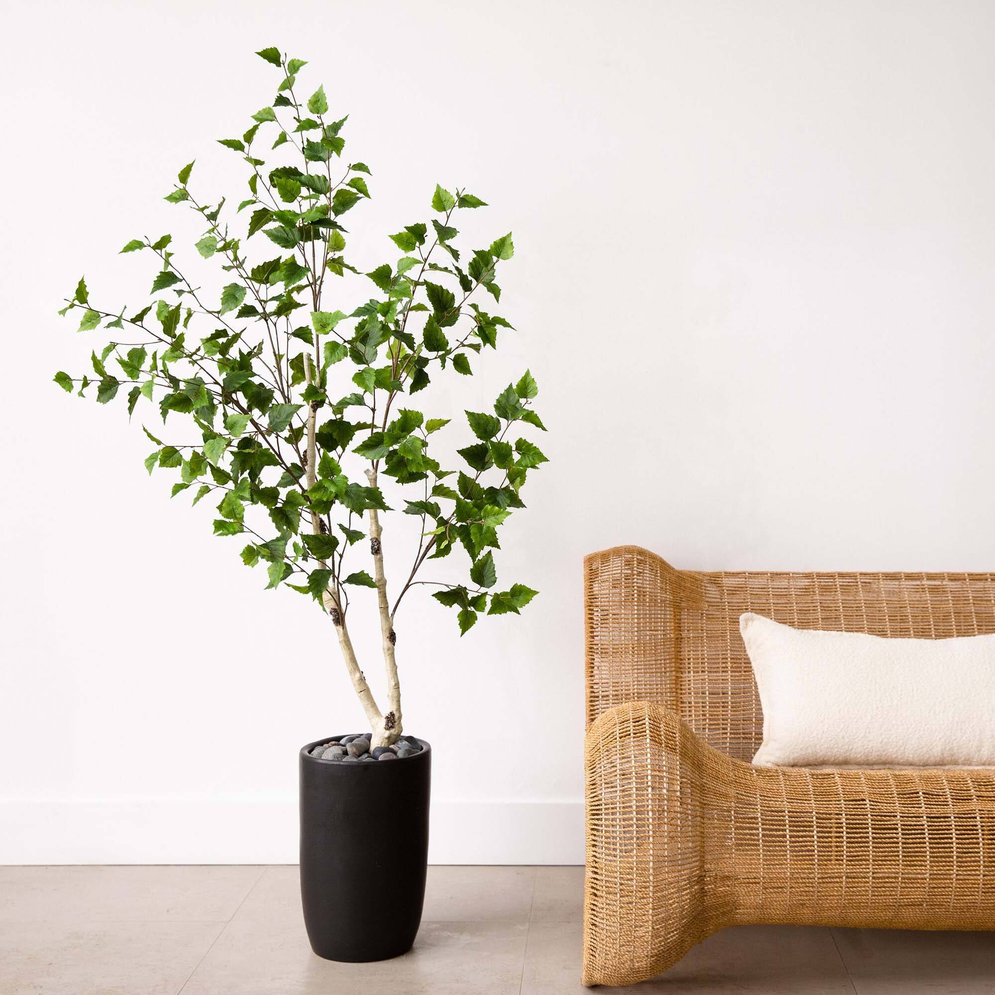5ft. Potted Green Artificial Birch Tree with Real Touch Leaves