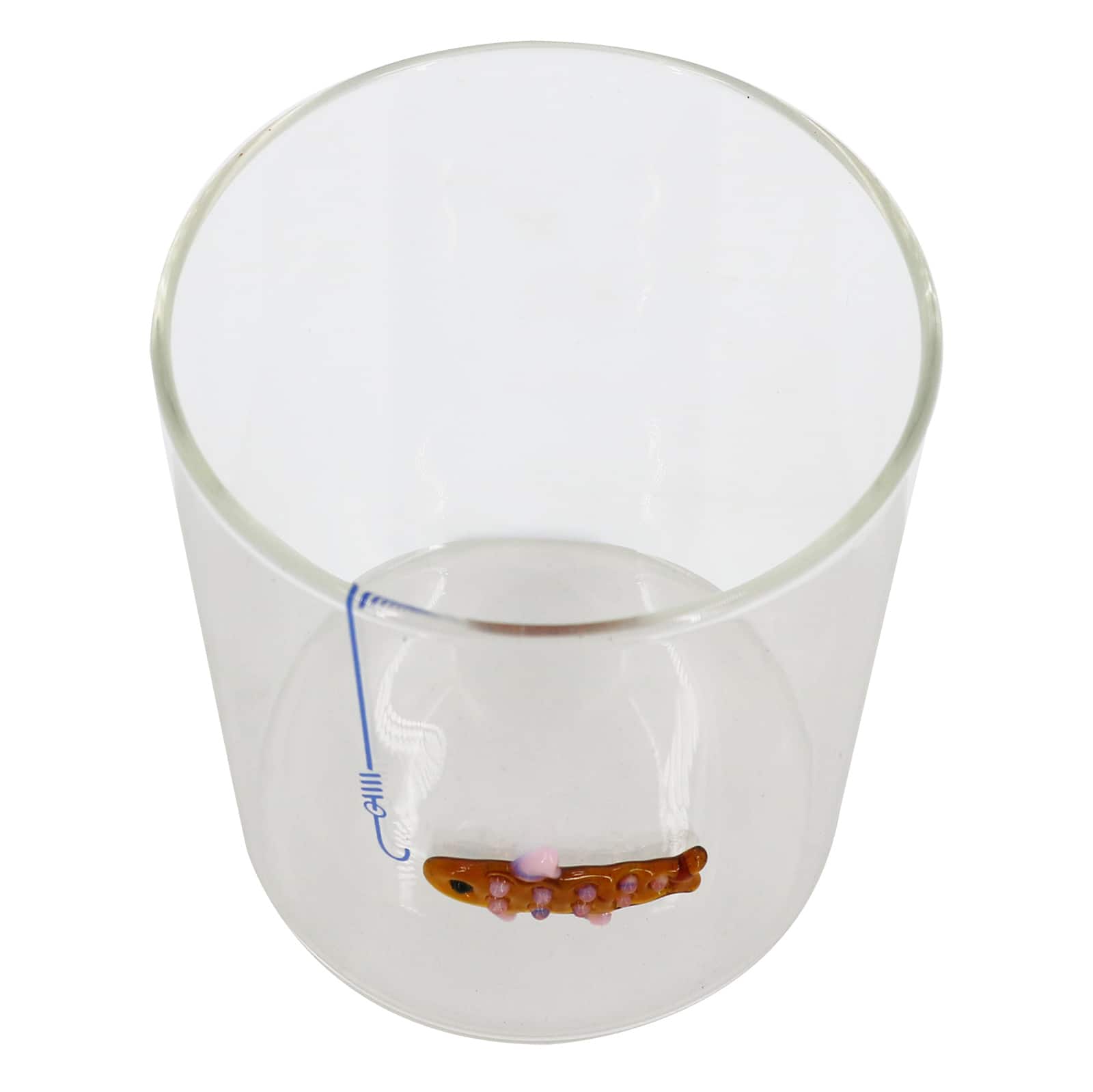 Assorted 13.5oz. Fish Glass Cup by Ashland&#xAE;