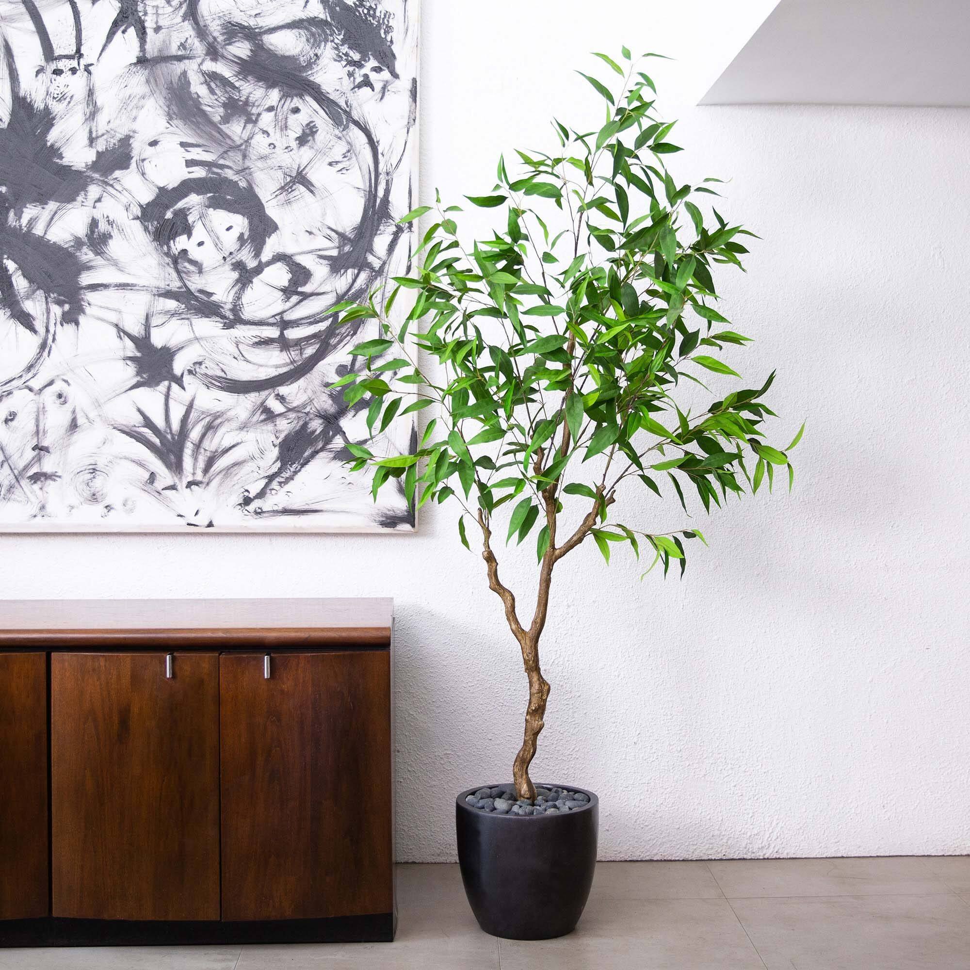 7ft. Potted Long Leaf Greco Eucalyptus Tree with Real Touch Leaves