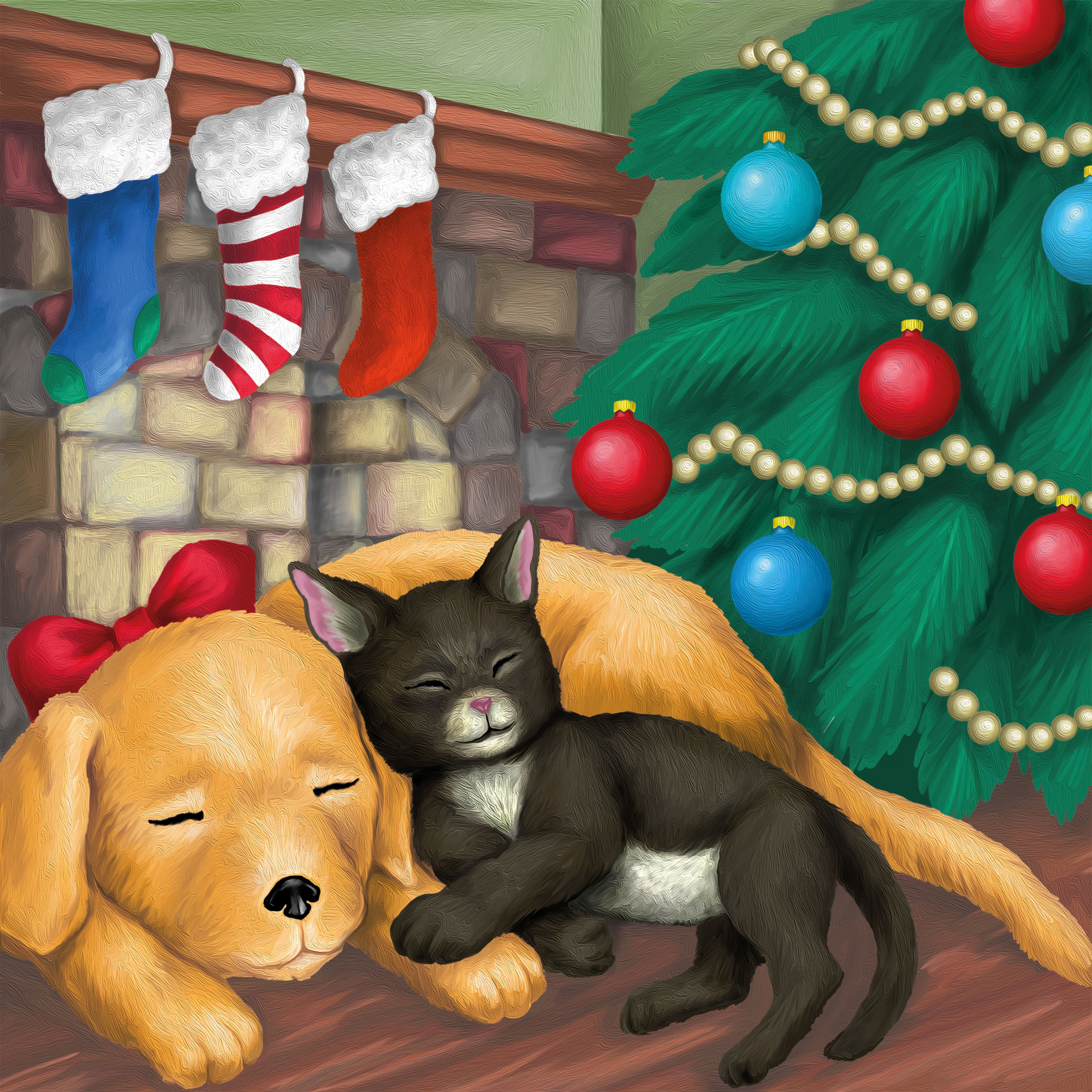 Sleeping Cat &#x26; Puppy Canvas Painting Kit by Artist&#x27;s Loft&#xAE; Christmas