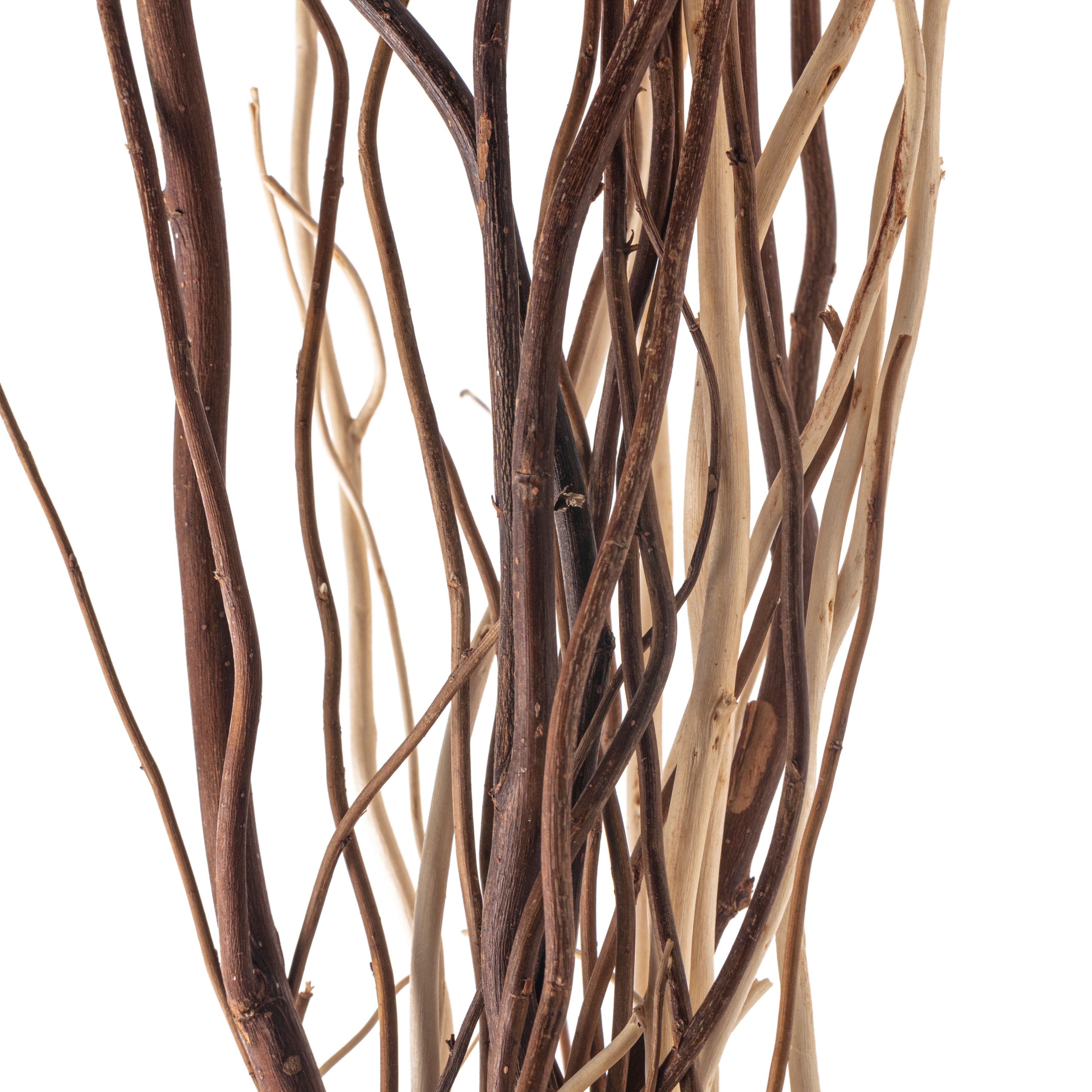 Ashland® Mixed Natural Willow Bundle, 60"