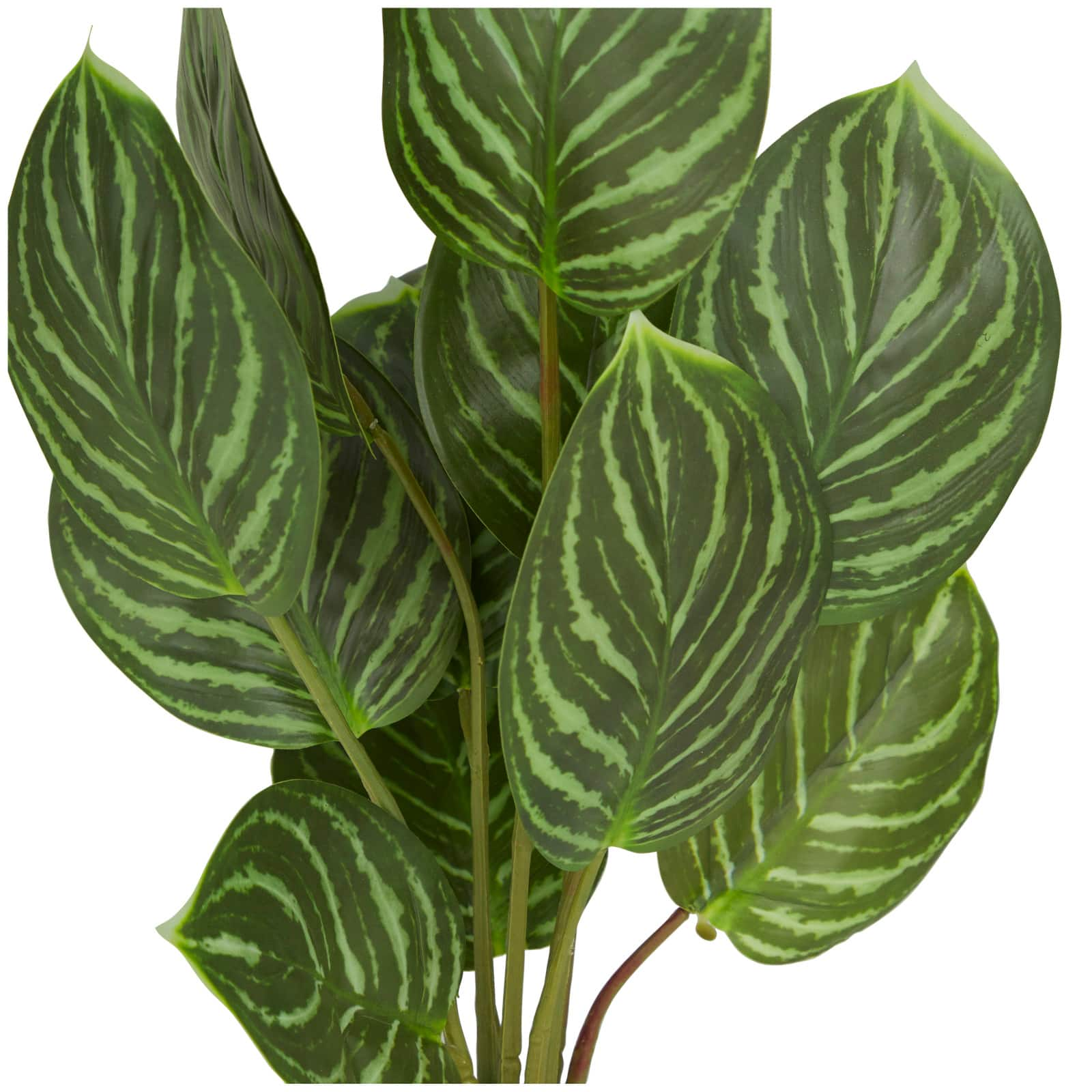 The Novogratz 16&#x22; Green Faux Foliage Calathea Artificial Plant in Porcelain Pot