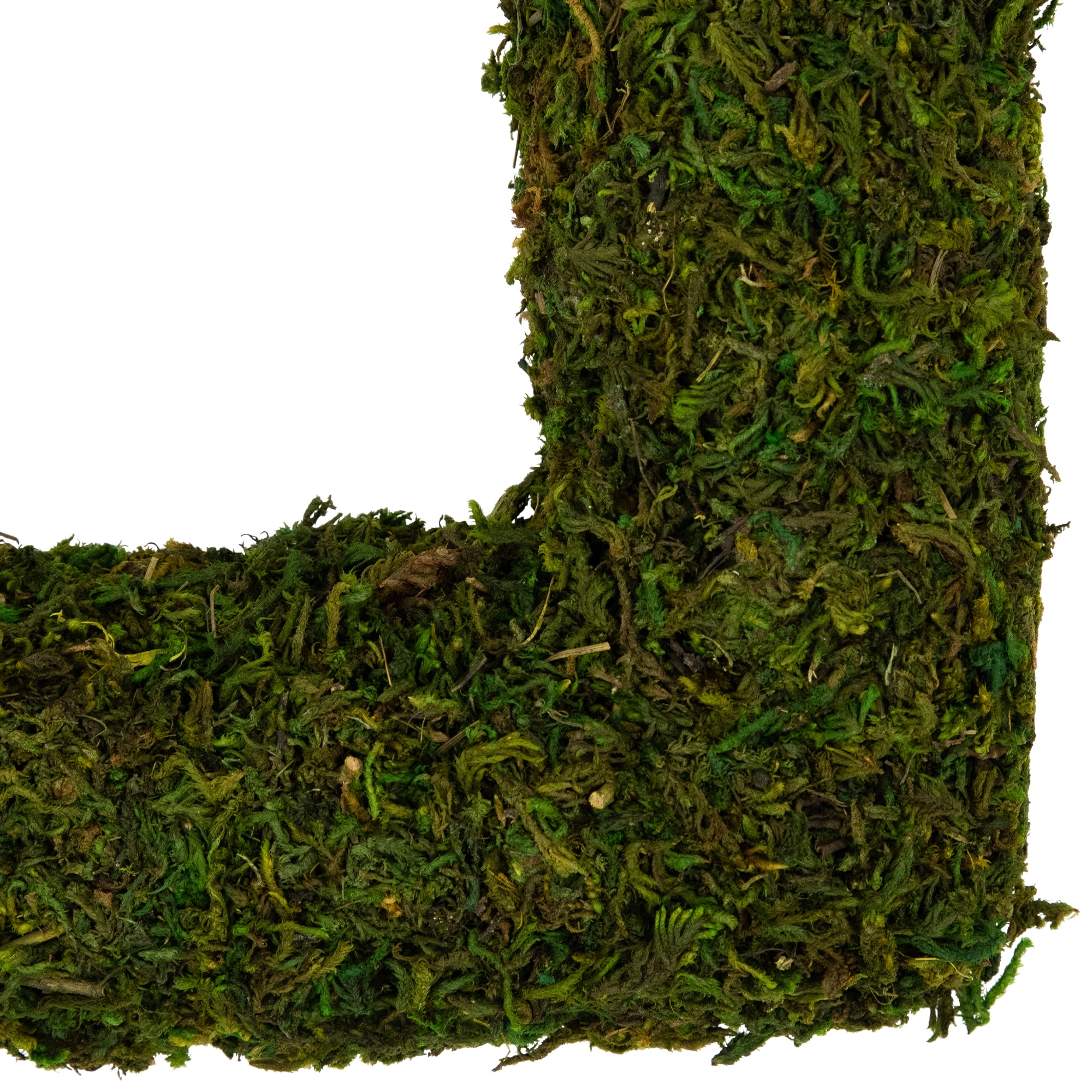 14&#x22; Green Reindeer Moss Square Spring Wreath