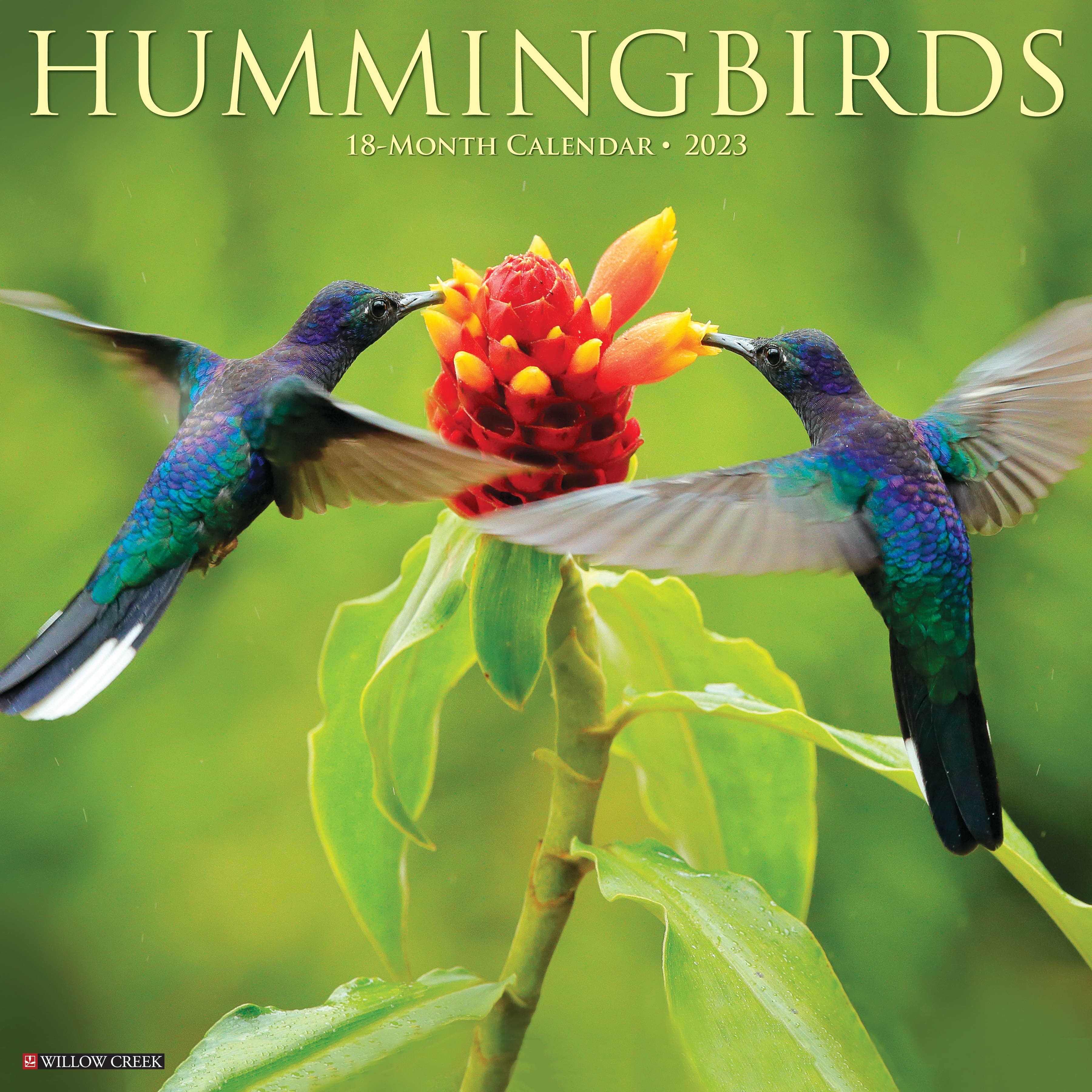 2023 Hummingbirds Wall Calendar Michaels