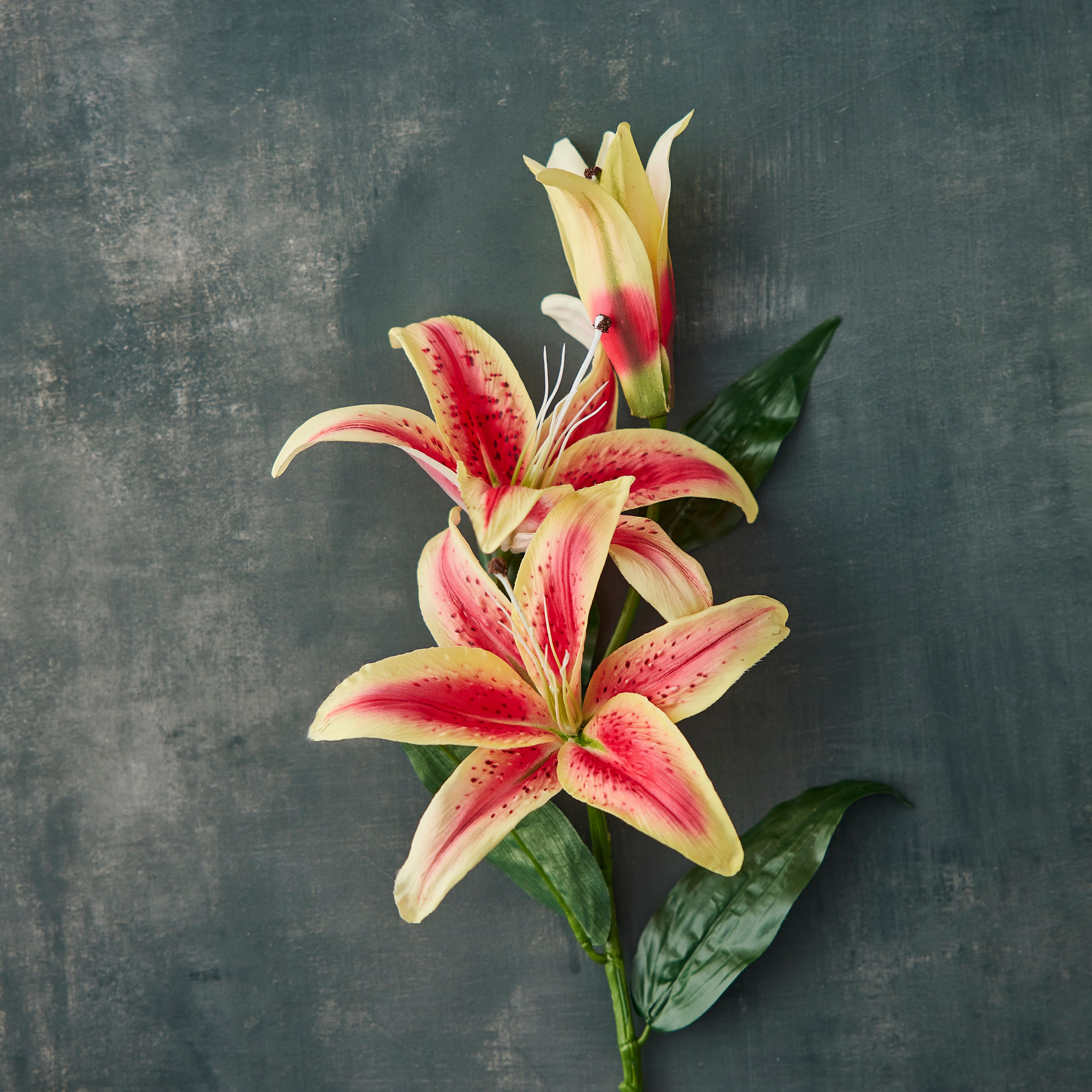 12 Pack: Hot Pink Casablanca Lily Stem by Ashland&#xAE;