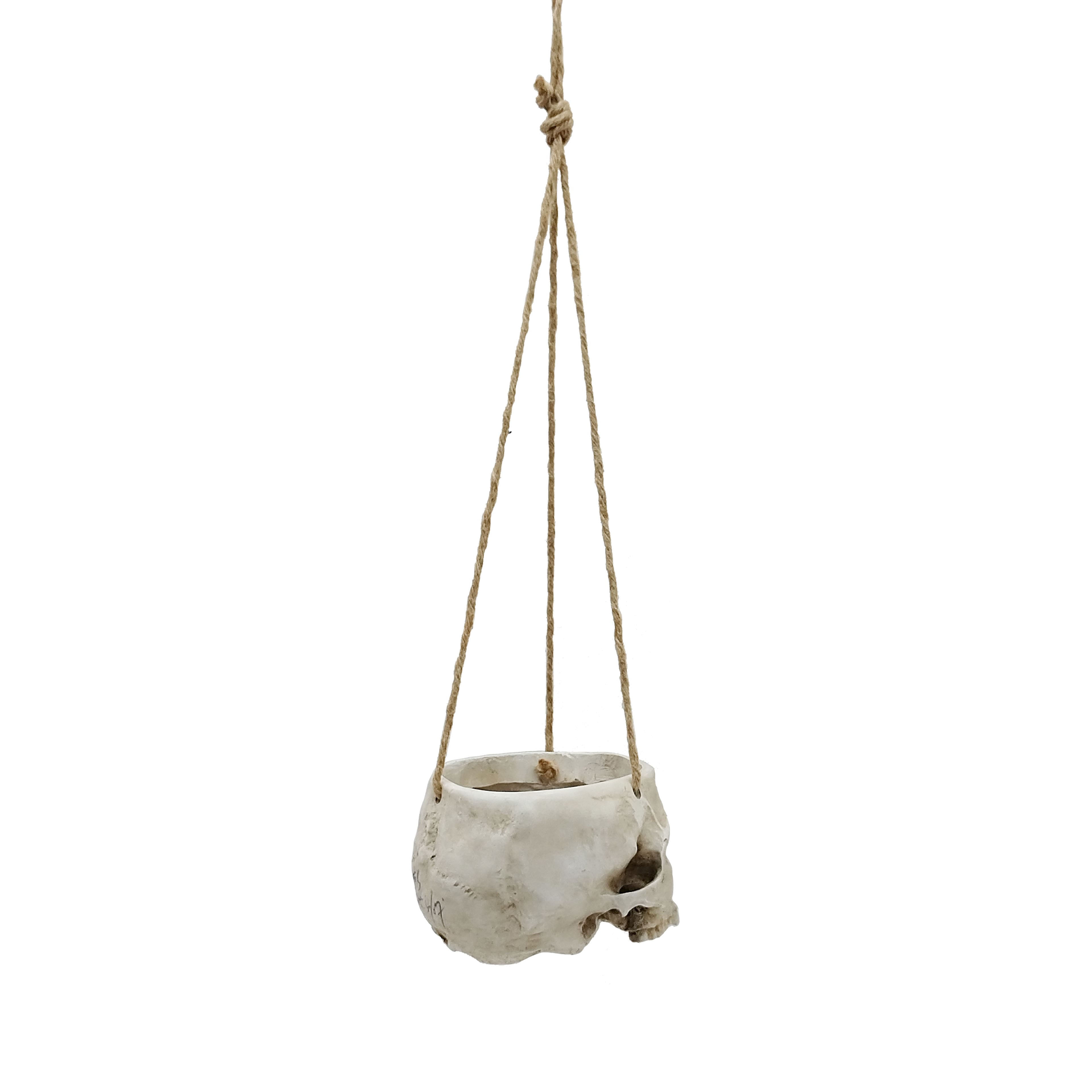 Small Skull Hanging Planter by Ashland&#xAE;
