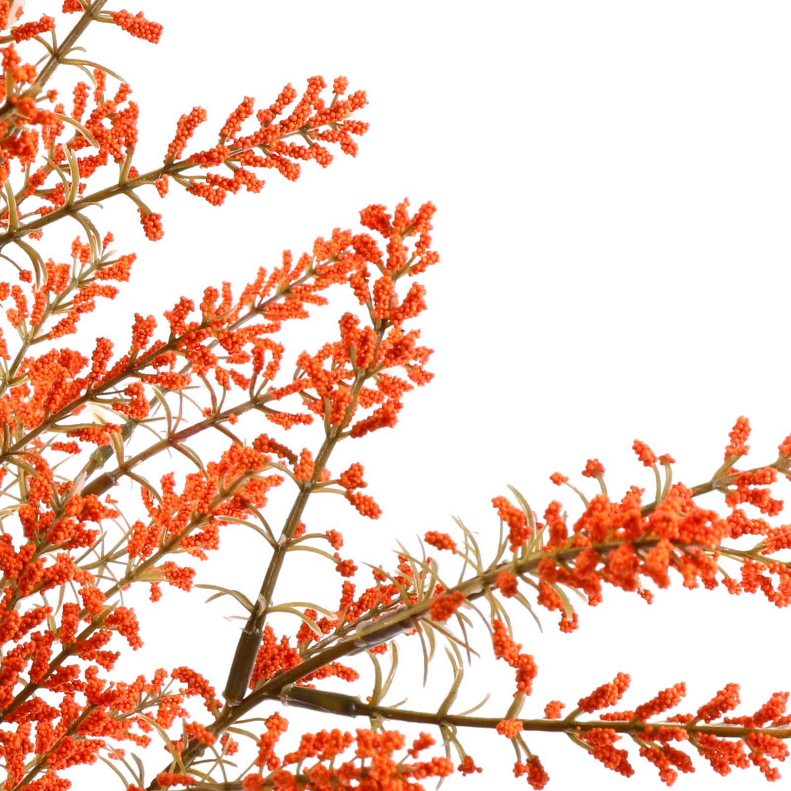 19&#x22; Berry Bush by Ashland&#xAE;