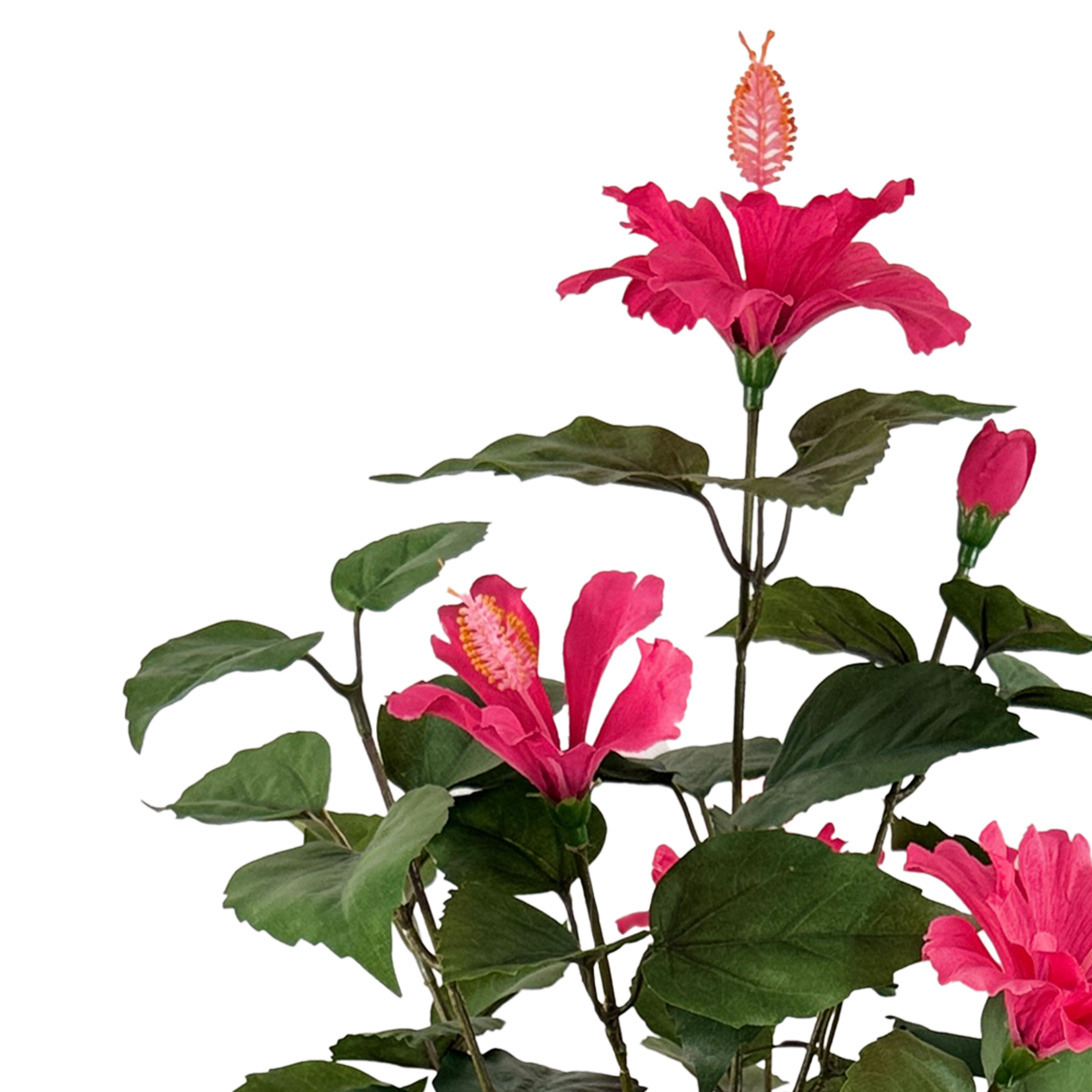 3.5ft. Potted Pink Hibiscus Plant by Ashland&#xAE;