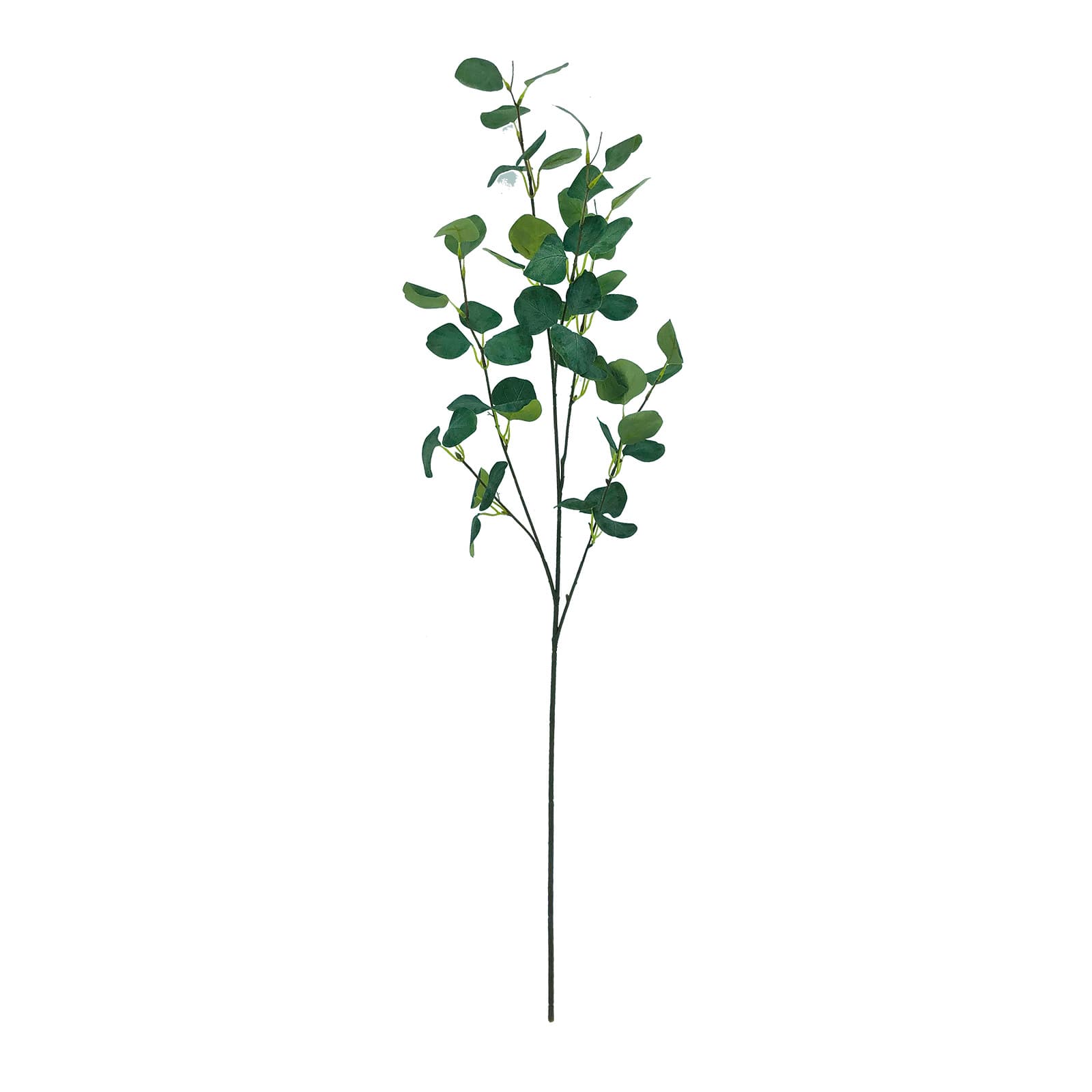 Blue &#x26; Green Eucalyptus Stem by Ashland&#xAE;