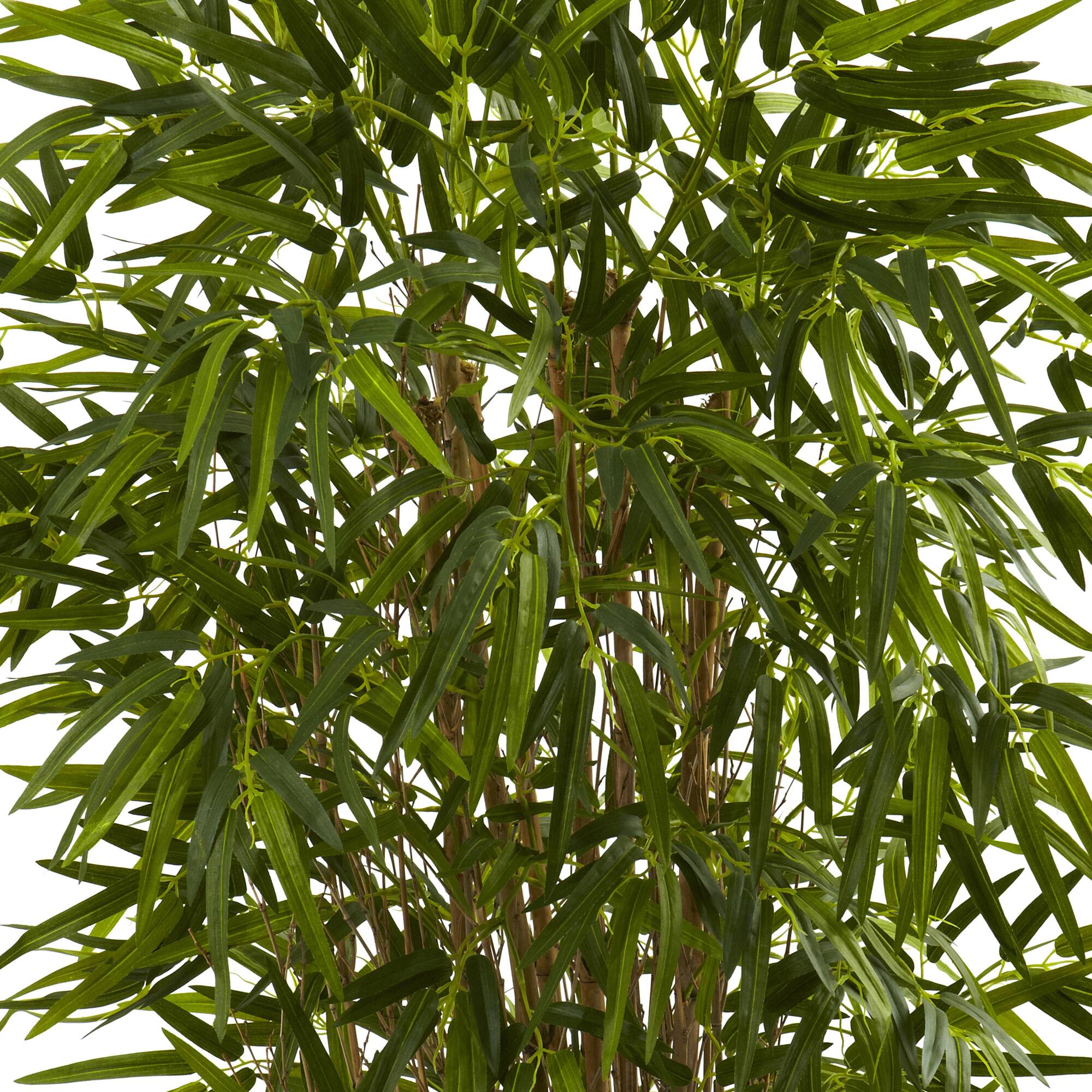 4ft. Potted Twiggy Bamboo Tree