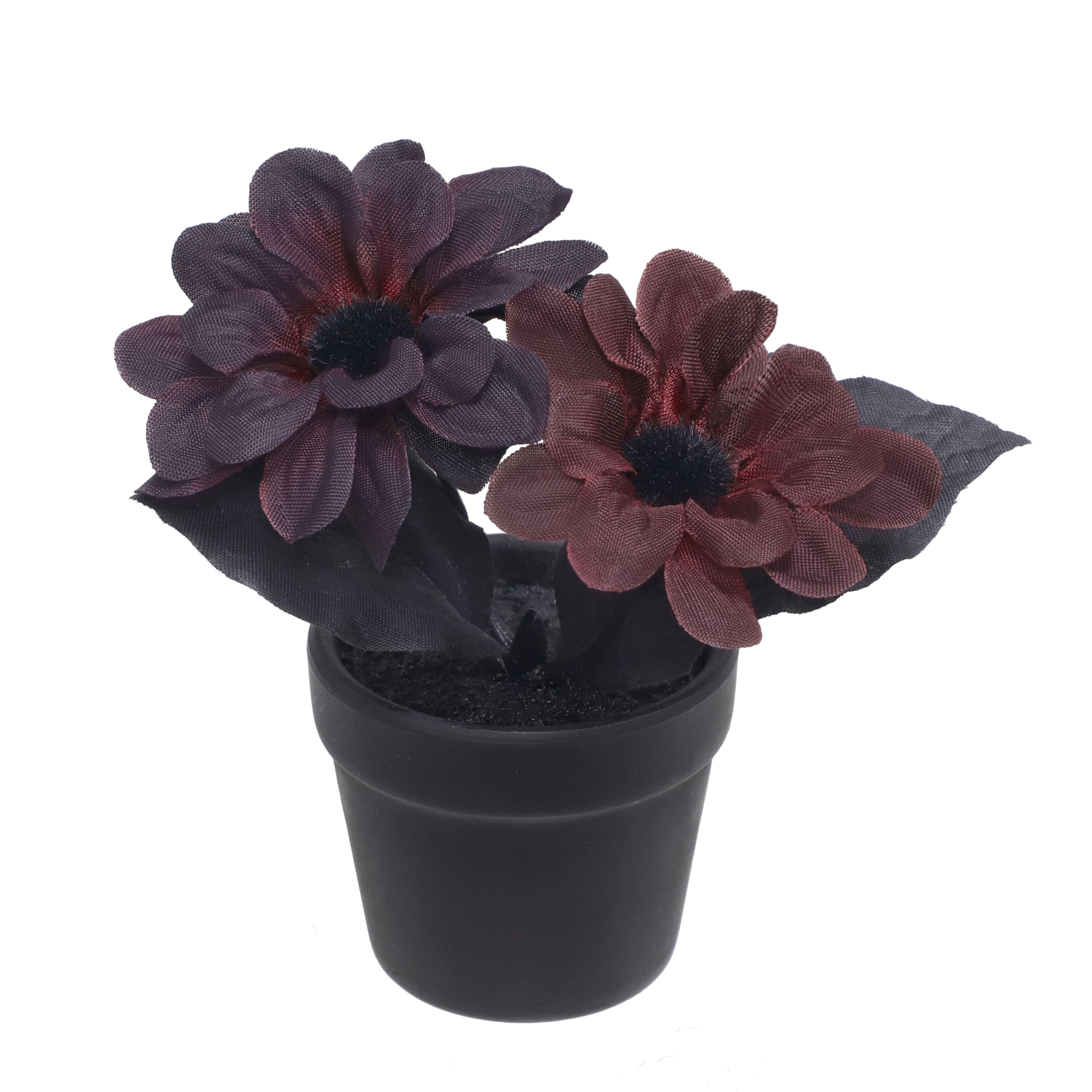 Assorted Mini Potted Floral Arrangement by Ashland&#xAE;, 1pc.