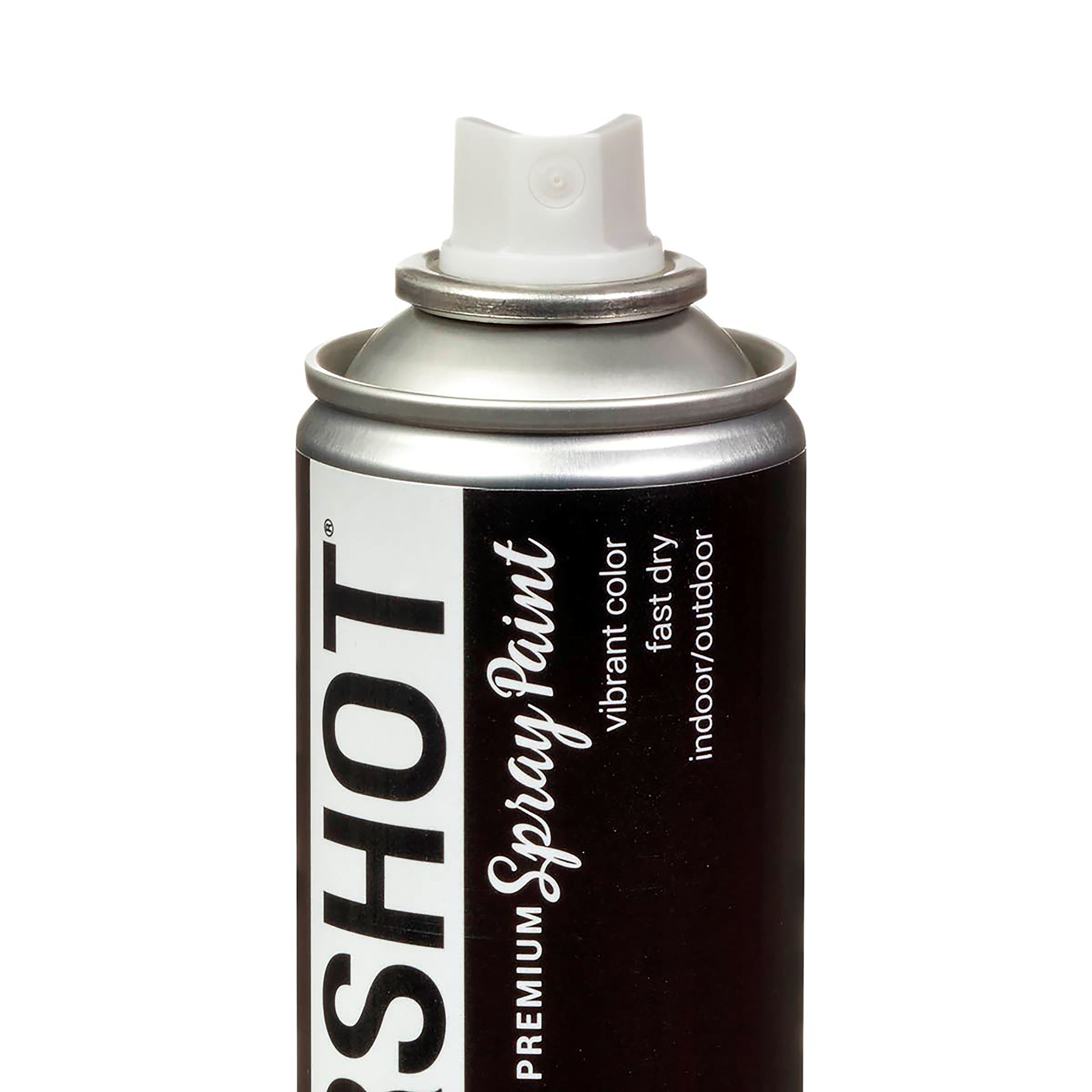COLORSHOT&#xAE; Premium Metallic Spray Paint