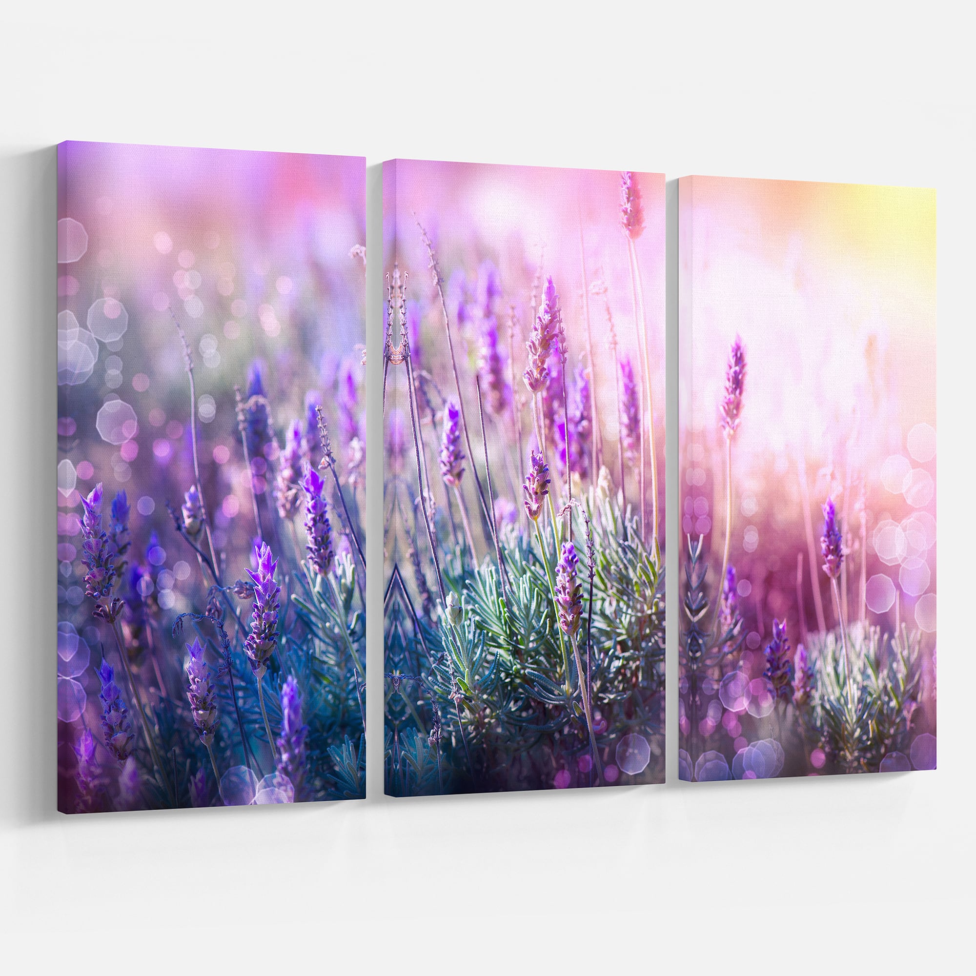 Designart - Growing and Blooming Lavender