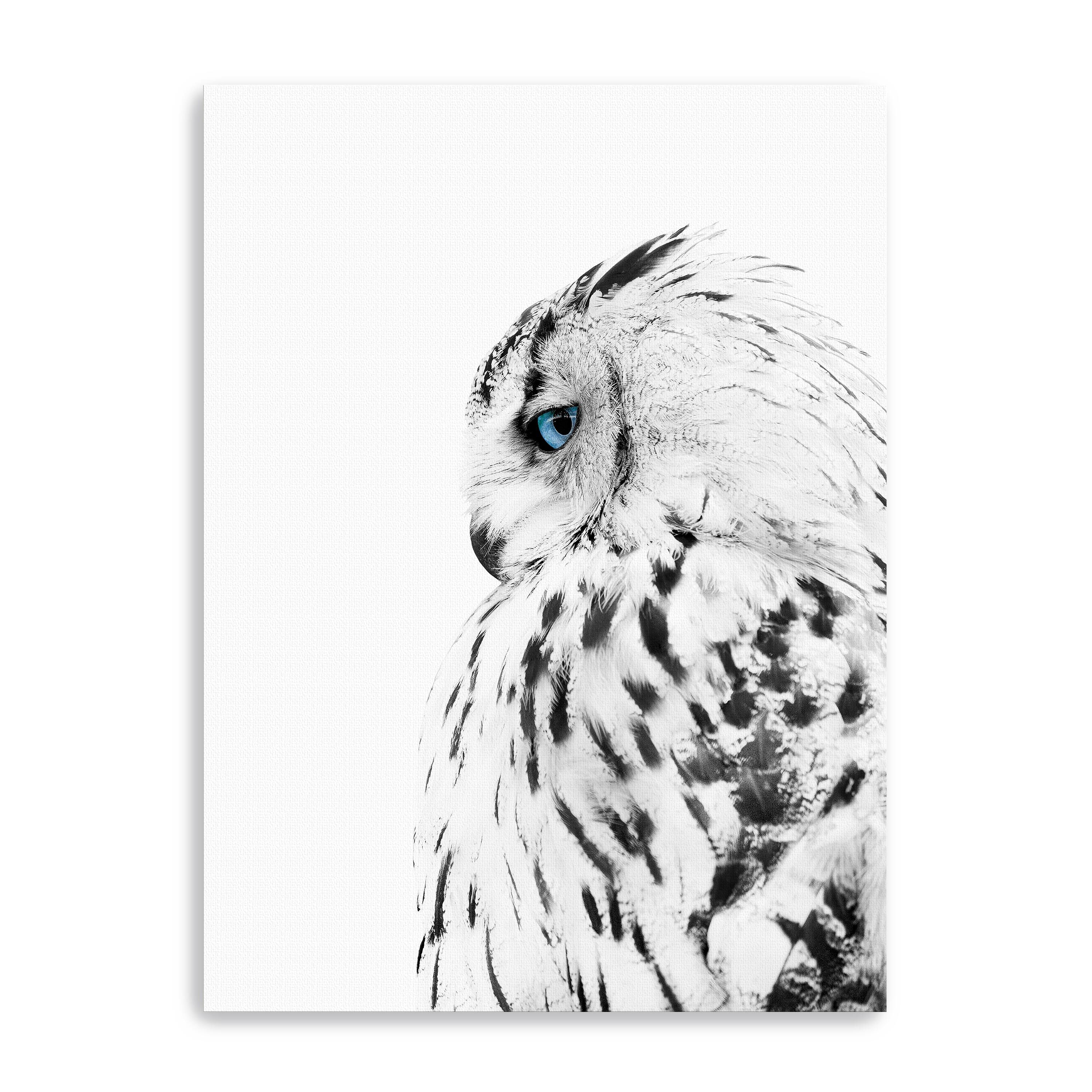 White Owl Canvas Giclee