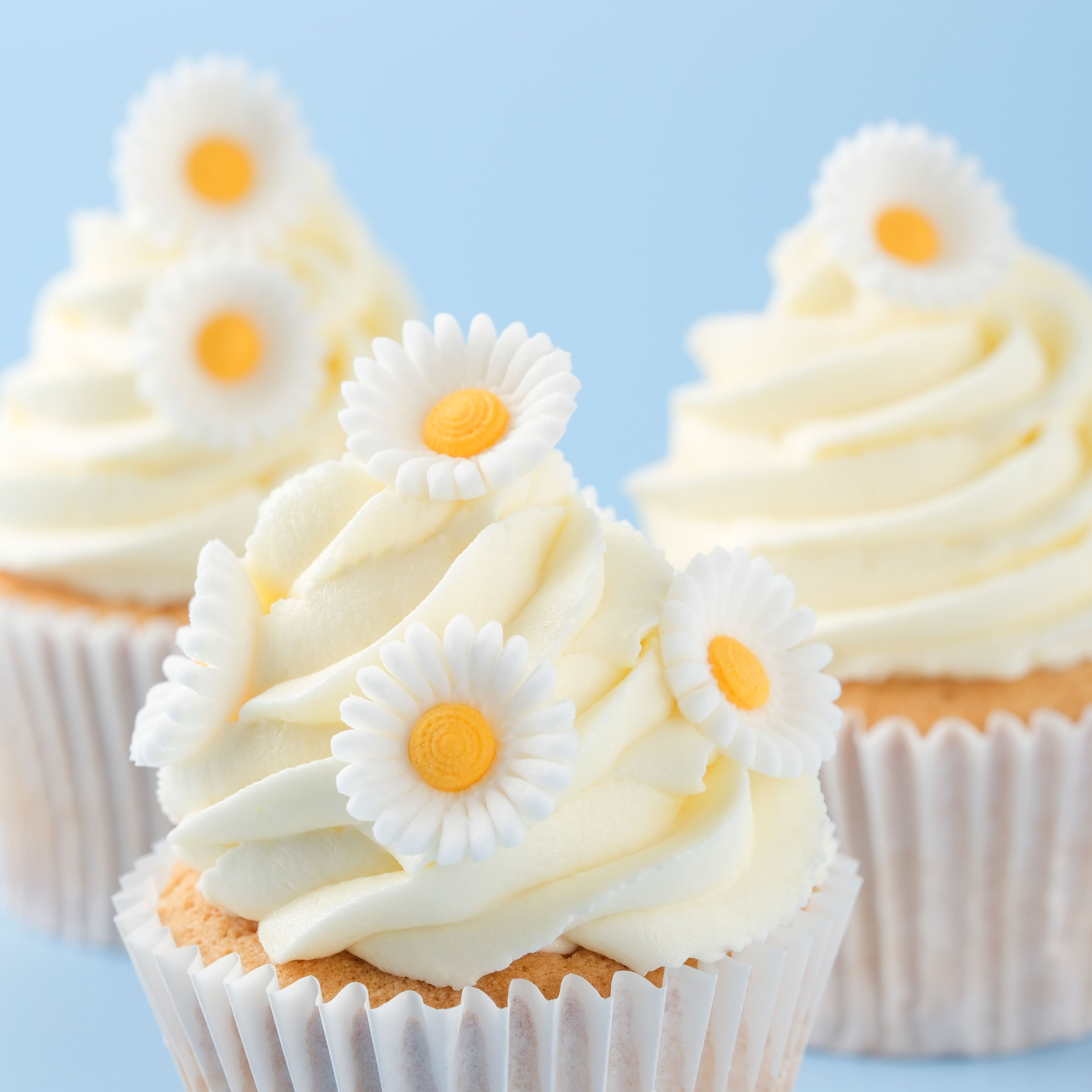 PME Cake Sweet Street&#xAE; White Daisy Icing Decorations