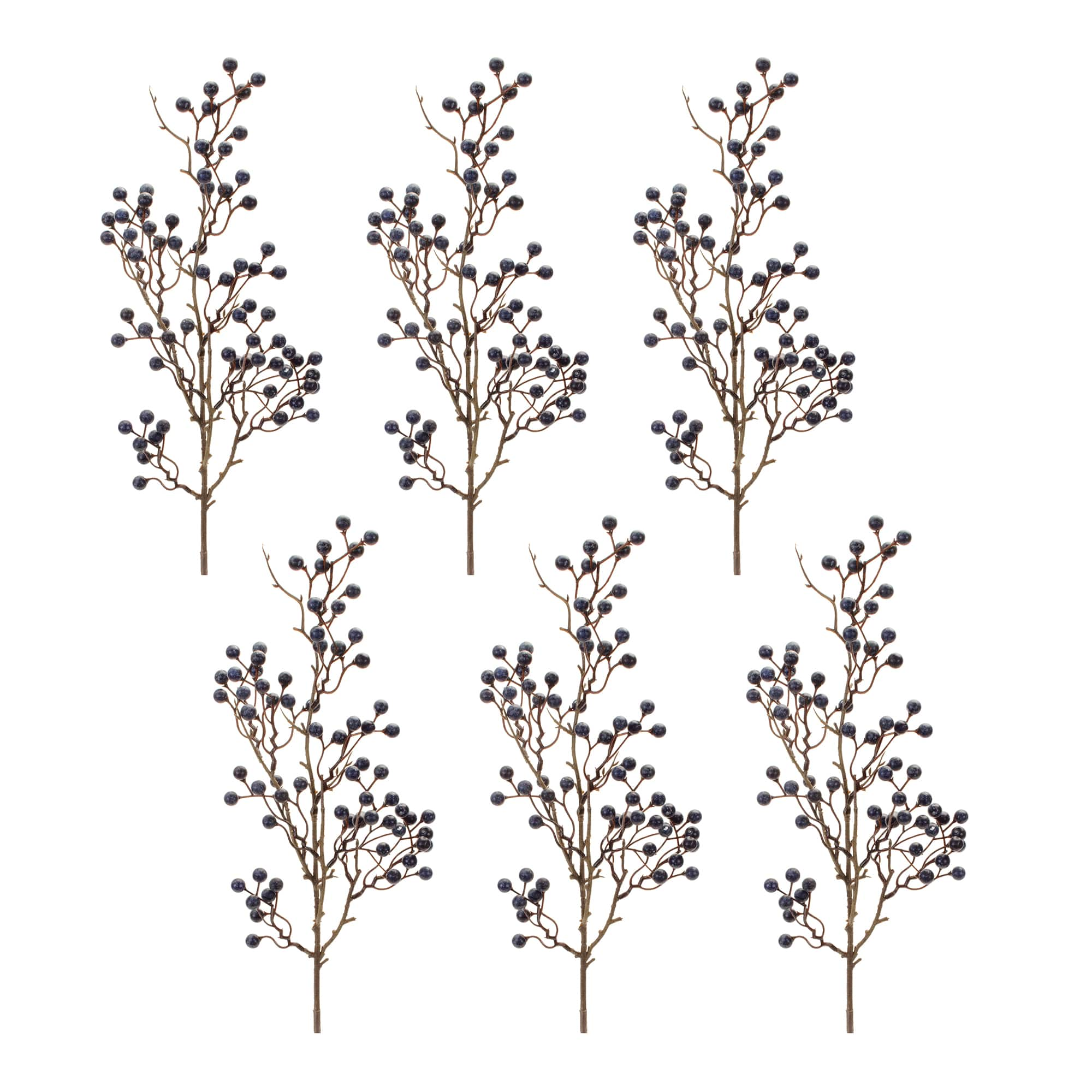 Blue Berry Twig Branches, 6ct.