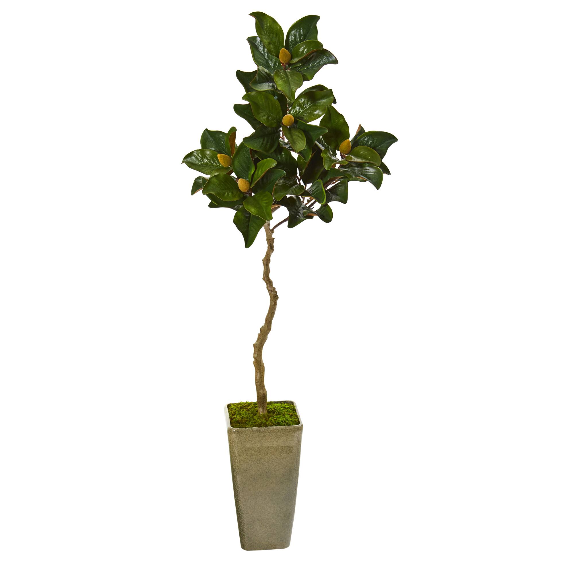5ft. Magnolia Artificial Tree in Green Planter Michaels
