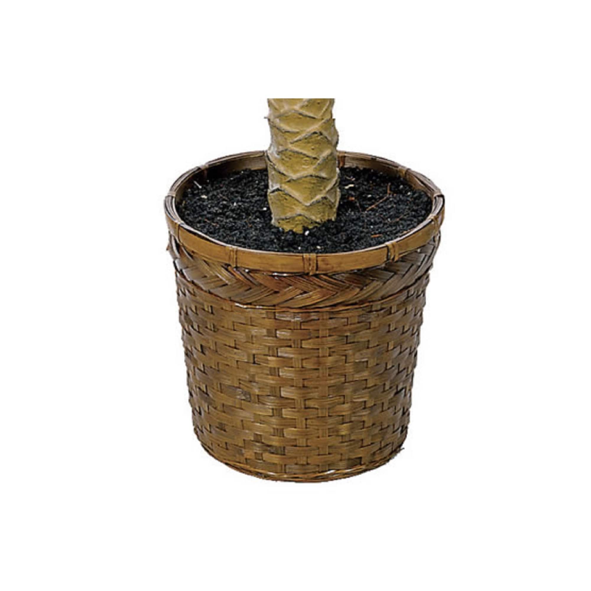 6ft. Sago Palm Tree in Wicker Basket Pot