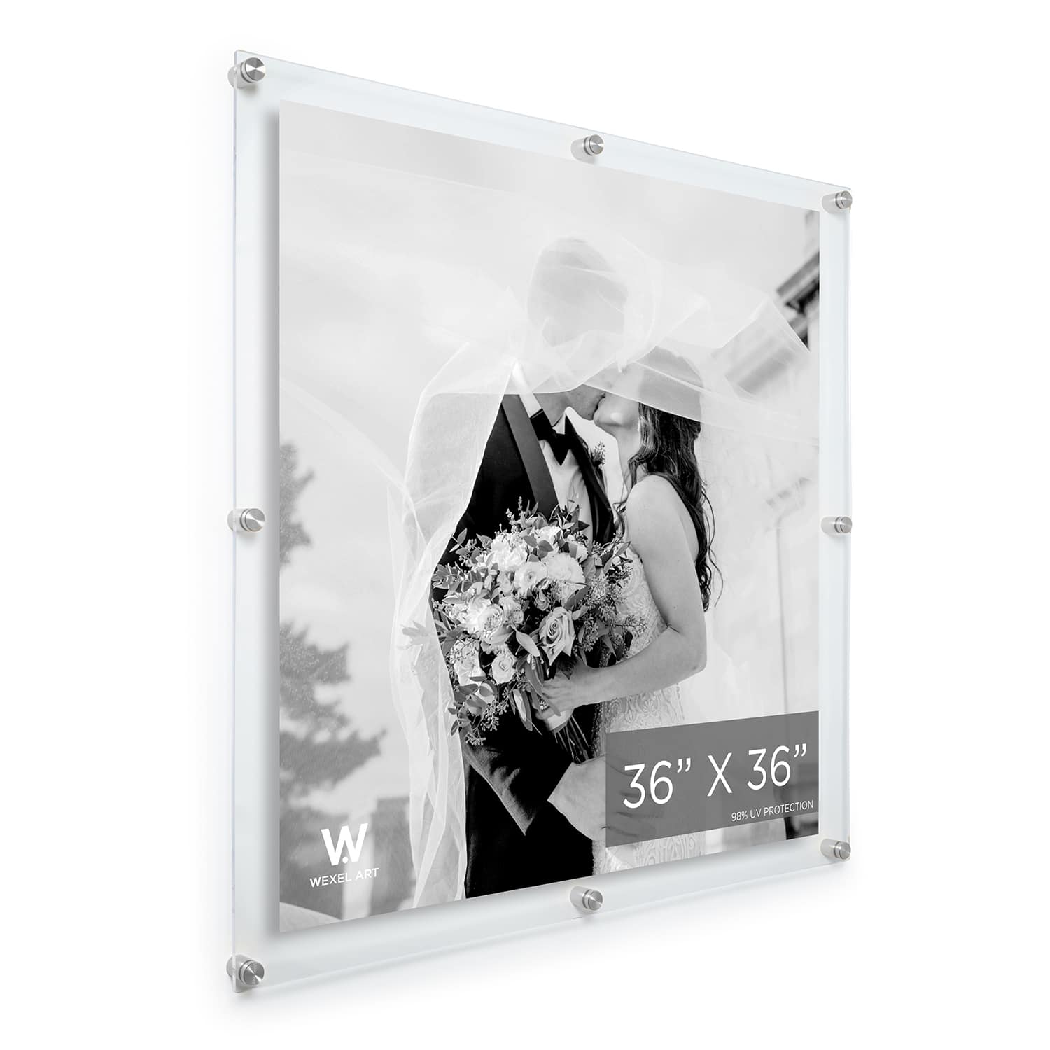 Wexel Art Double Panel Clear Acrylic Floating Wall Frame with Silver Hardware