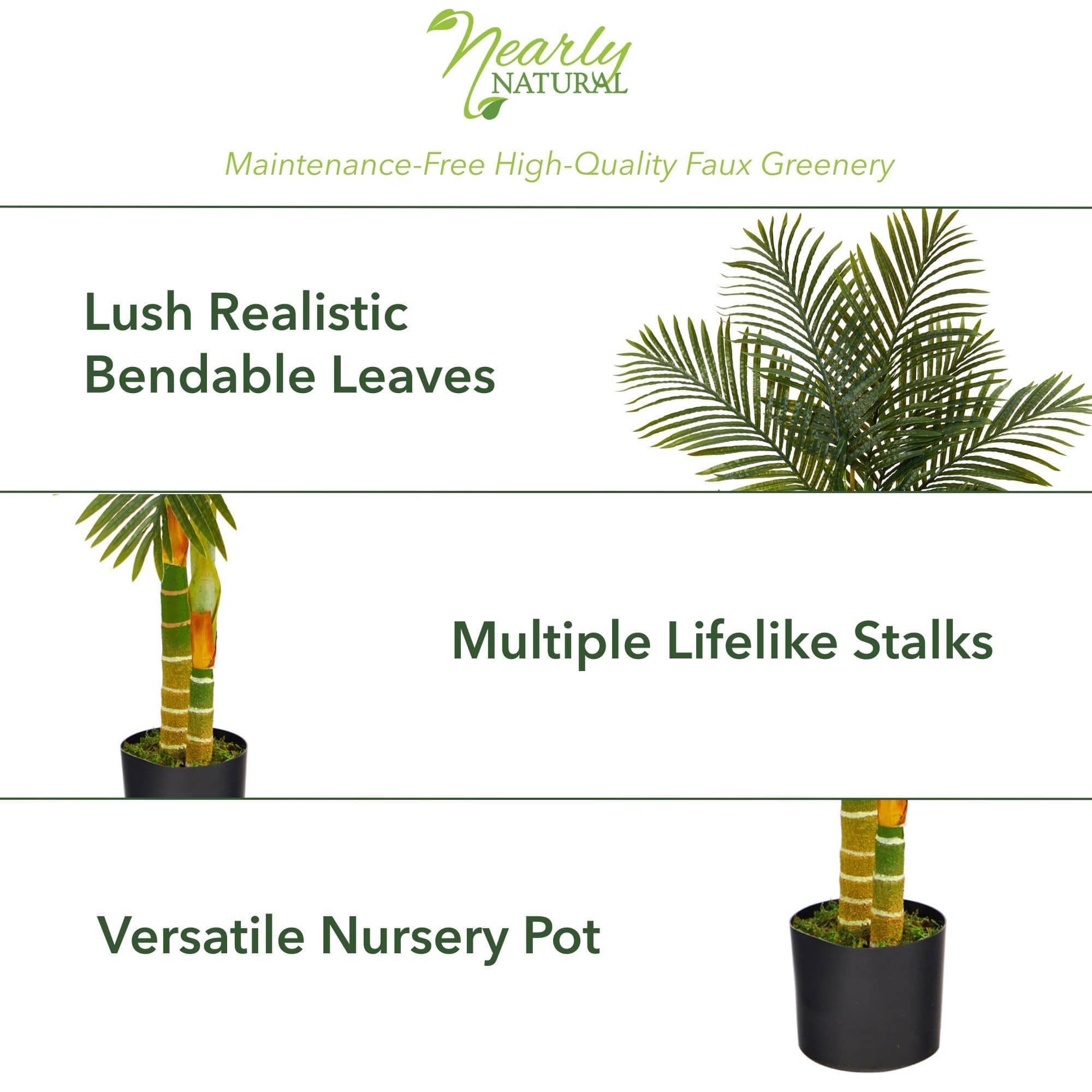 5ft. Potted Golden Cane Palm Tree
