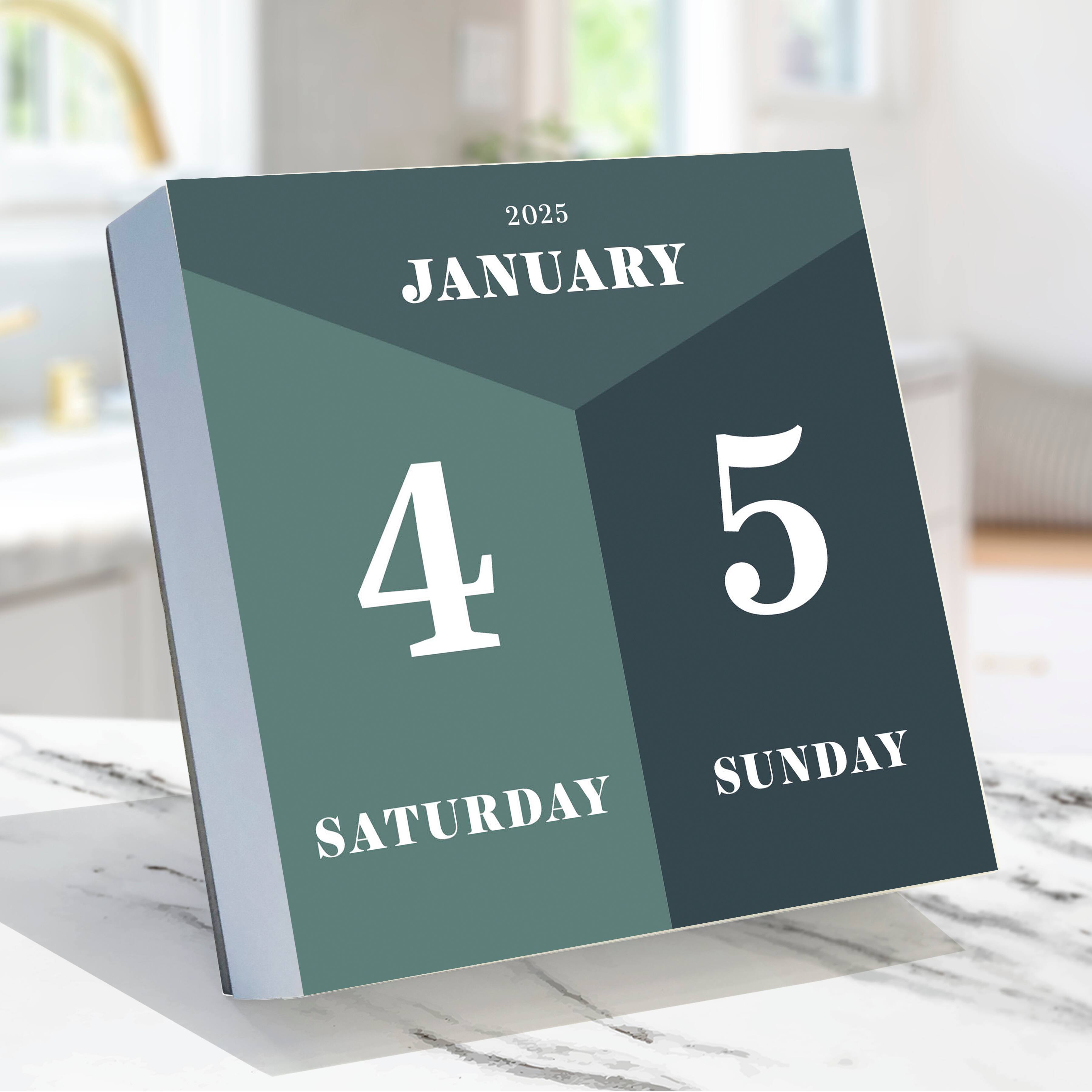 TF Publishing 2025 Big Print Daily Desktop Calendar