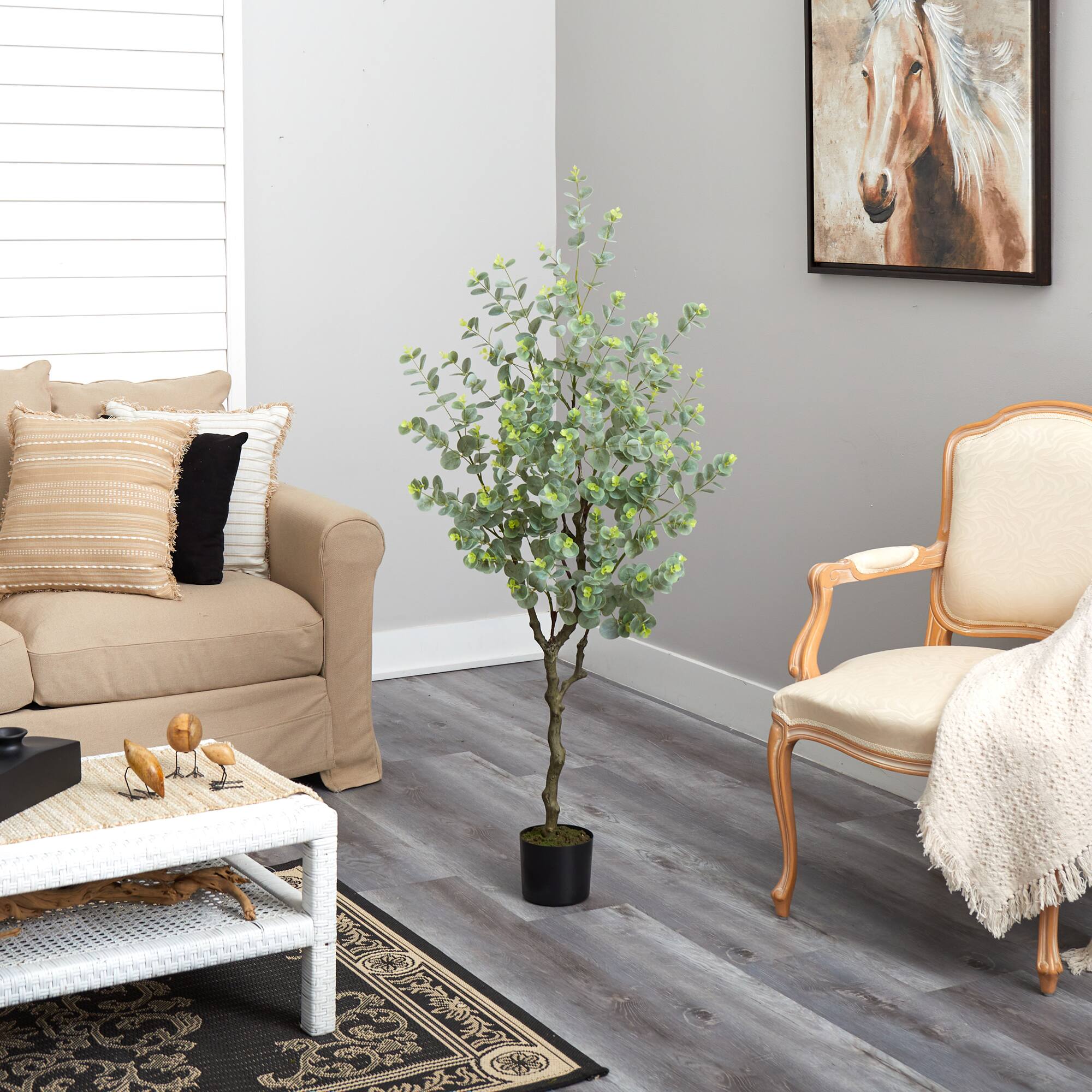 4.5ft. Potted Eucalyptus Tree